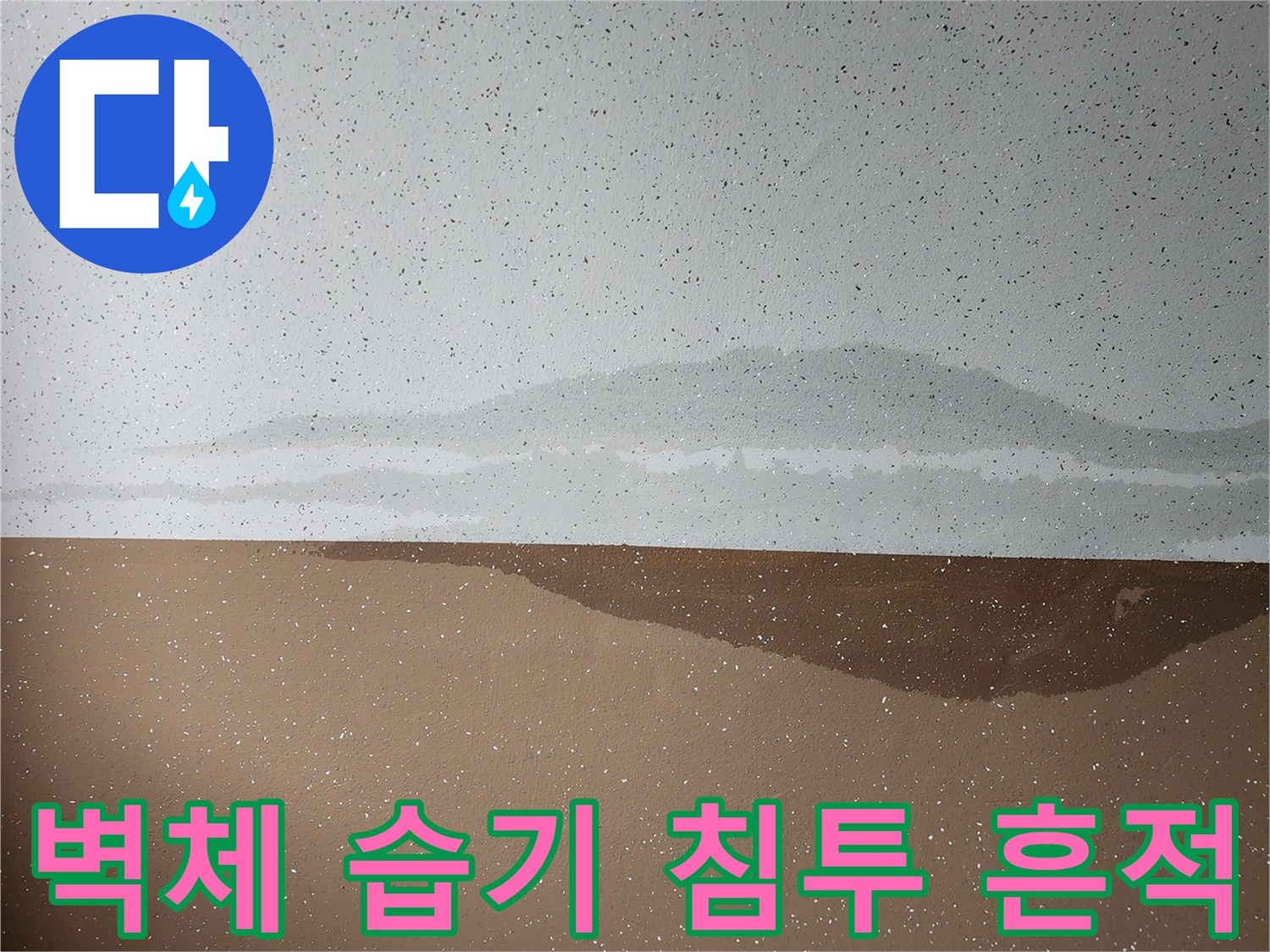 내촌면 현장 사진 - 벽면 하단과 상단의 경계에 나타난 젖은 얼룩