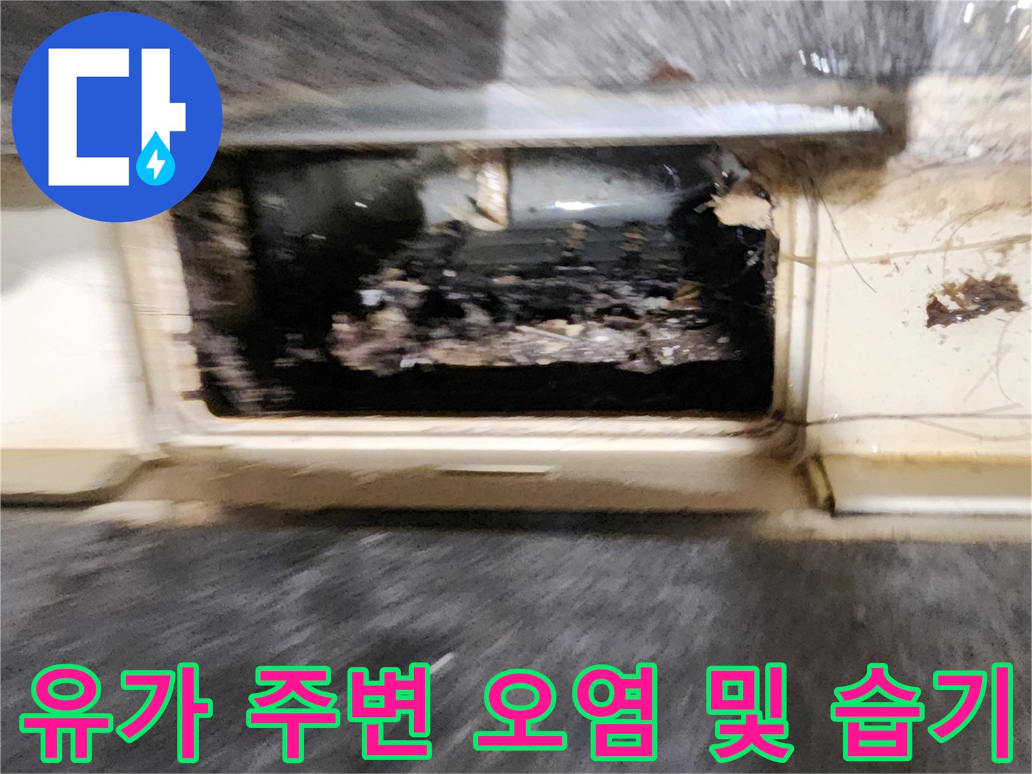 오염된 배수구 내부와 고인 물을 보여주는 사진입니다.