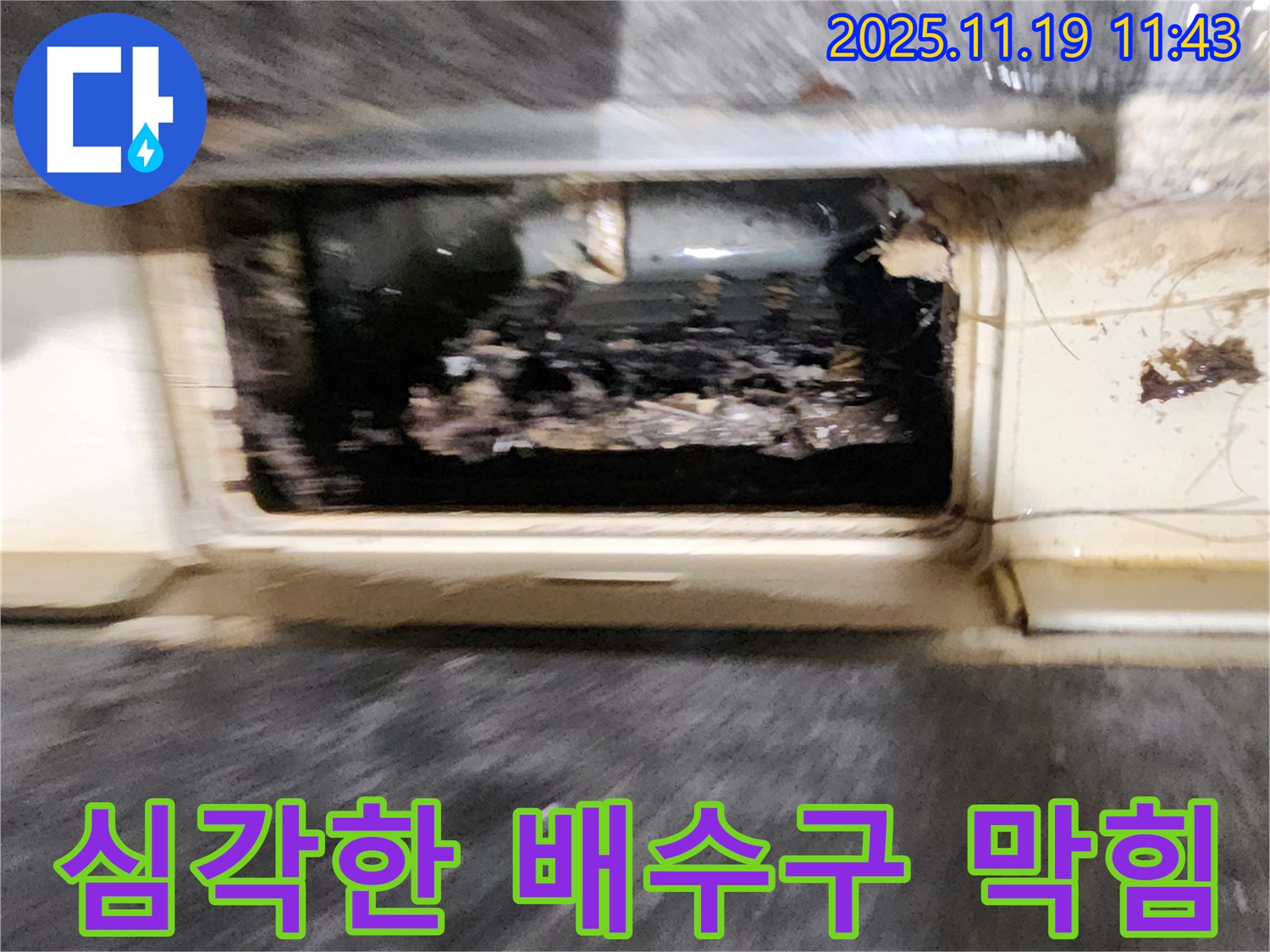 포천시 내촌면 마명리 누수 현장 - 심각하게 막힌 배수구로 인해 누수가 발생한 상황을 보여줍니다.