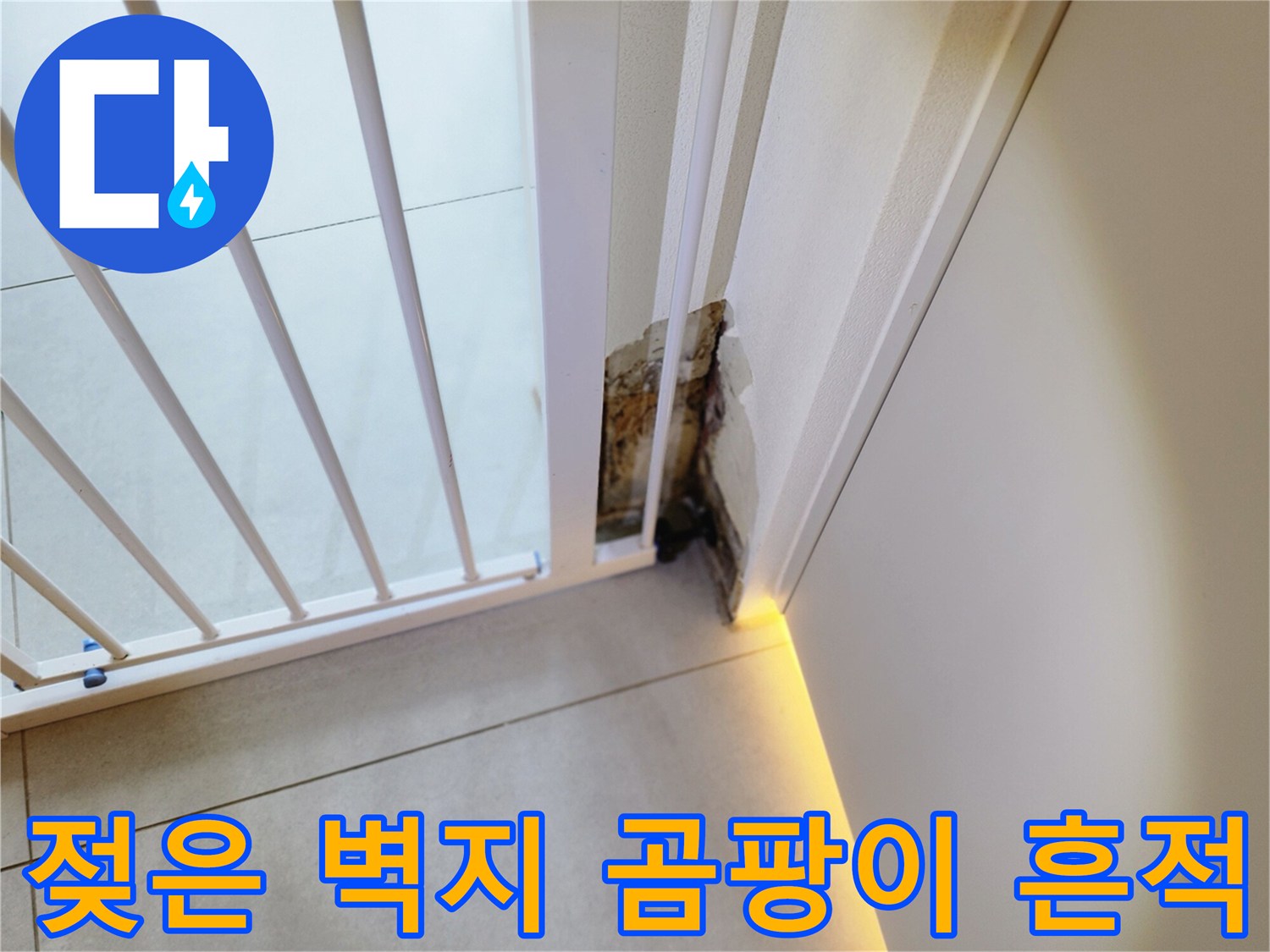 누수 피해 현장 - 곰팡이가 피어오른 벽면 하단부의 오염된 모습