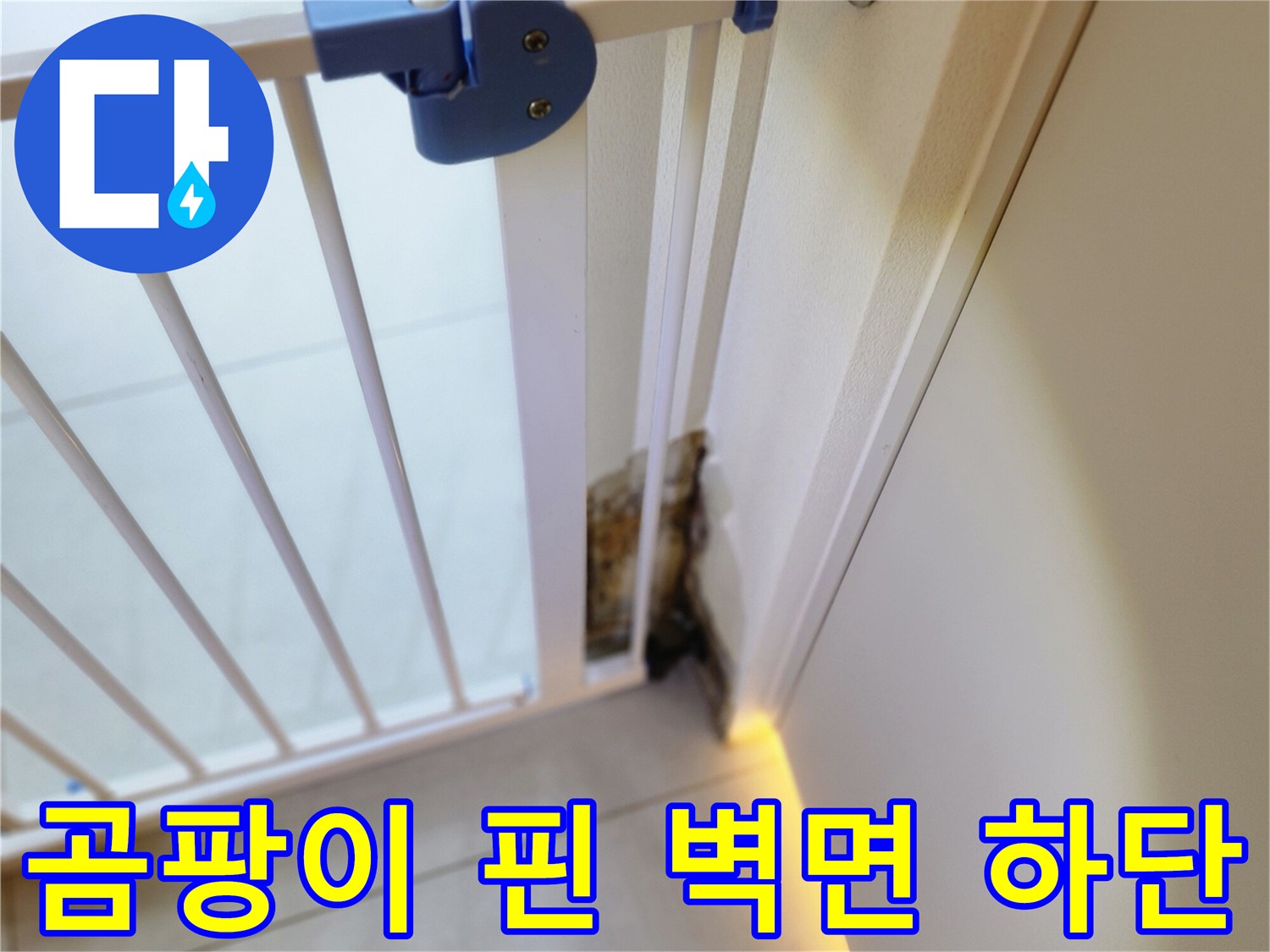 벽지 하단에 발생한 곰팡이와 습기로 인한 변색 부위