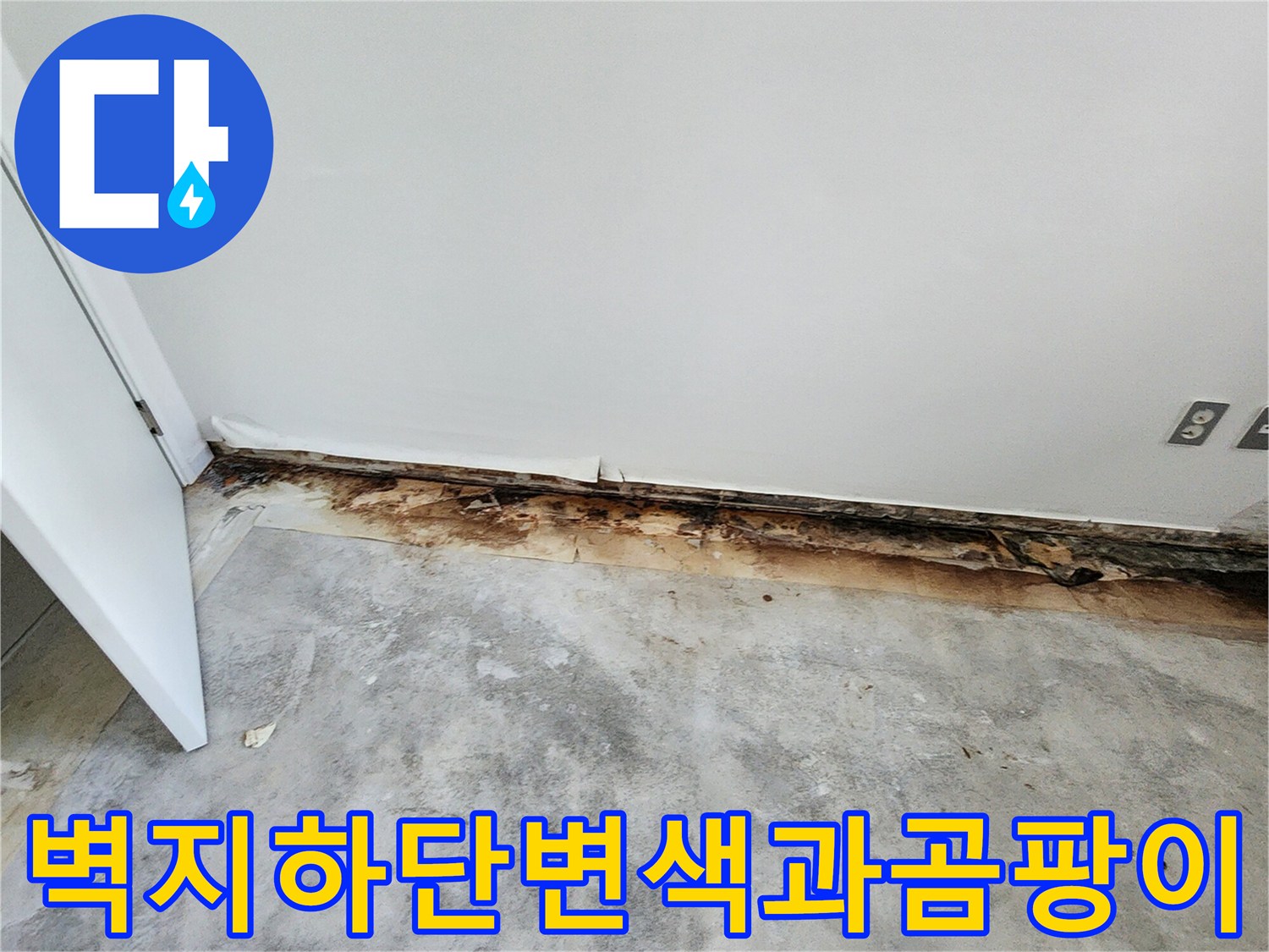 포천 내촌면 현장의 벽지 하단 곰팡이와 변색된 상태를 보여주는 사진