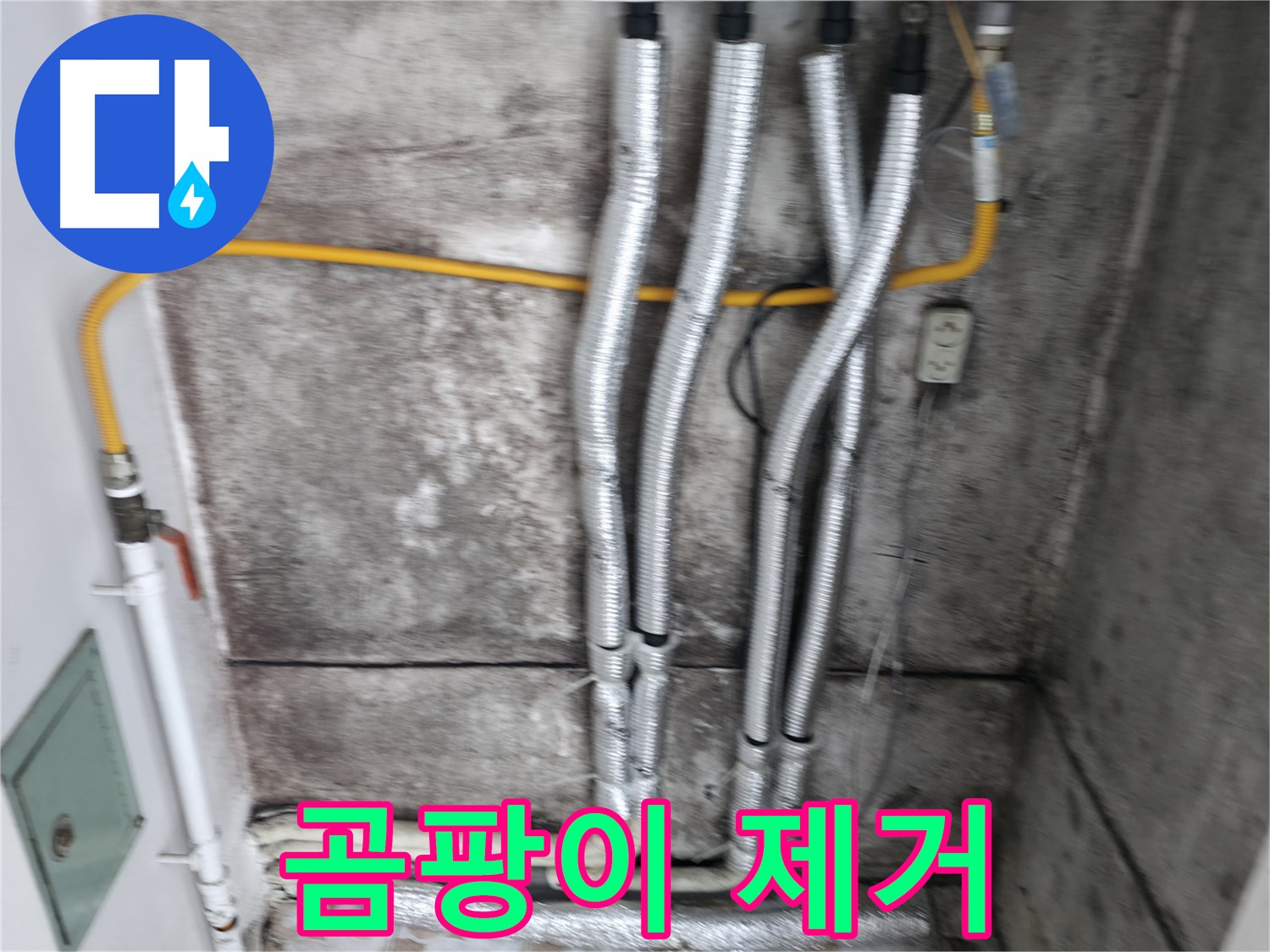 곰팡이 핀 벽면 청소 - 누수 해결 후 곰팡이 핀 벽면까지 깔끔하게 청소해 드립니다.
