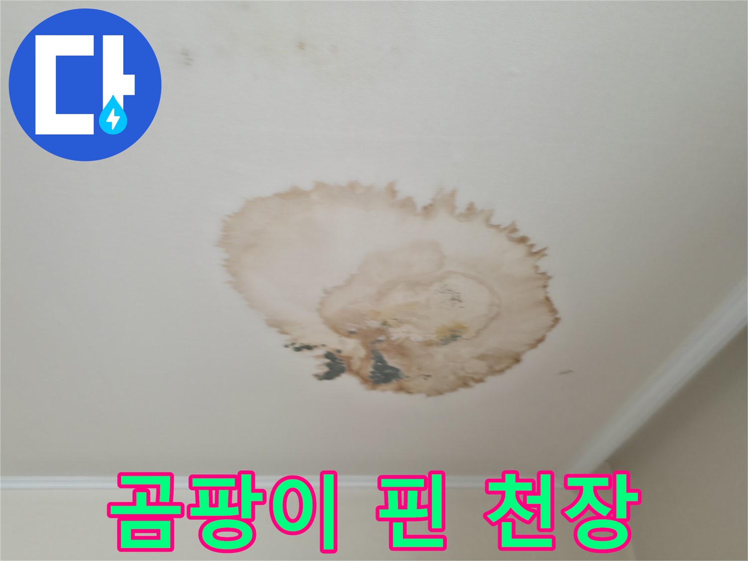 곰팡이 핀 천장 - 누수탐지 및 제거 - 서대문구 세검정로