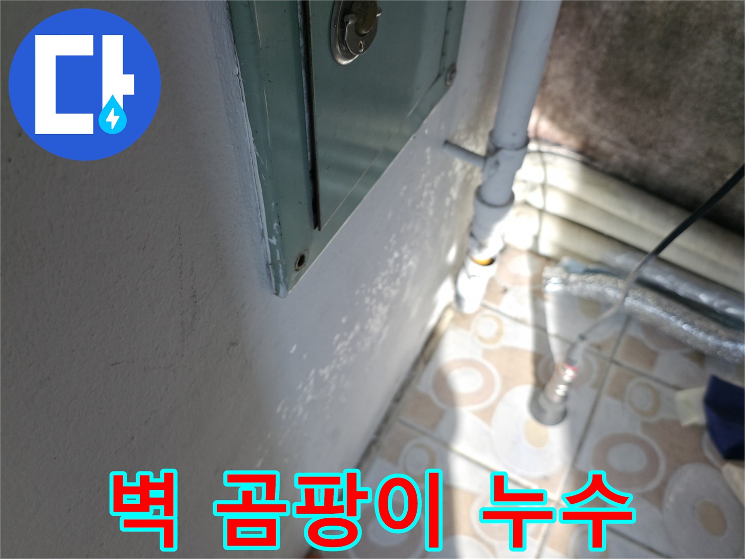 벽 곰팡이 - 누수 초기 증상일 수 있습니다. 서대문구 누수 전문가에게 상담하세요.