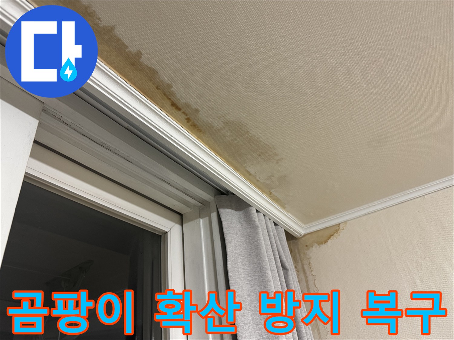 서대문구 홍제동 창가 천장 누수 - 곰팡이 확산 방지를 위한 긴급 복구 이미지입니다.