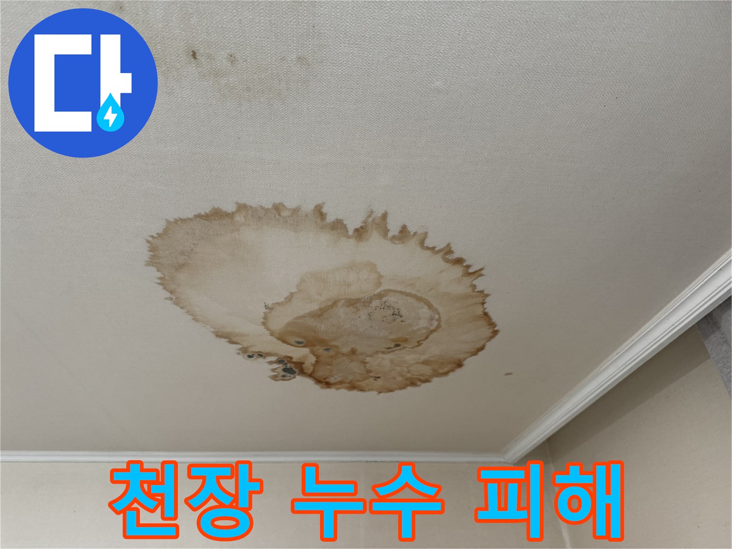 서대문구에서 발생한 천장 누수 피해 - 곰팡이가 핀 천장과 손상된 벽지를 보여주는 사진