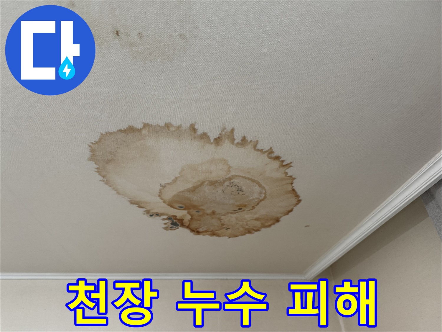 세검정에서 발생한 천장 누수 피해 - 젖어있는 천장과 손상된 벽지를 보여주는 사진