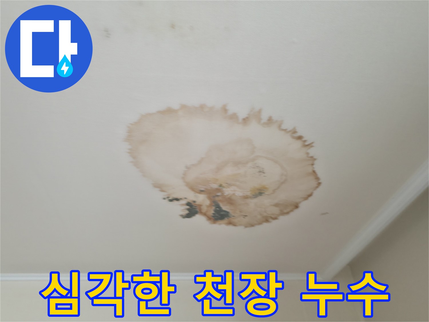 심각한 천장 누수 - 방치하면 큰 문제 - 서대문구 누수 전문가