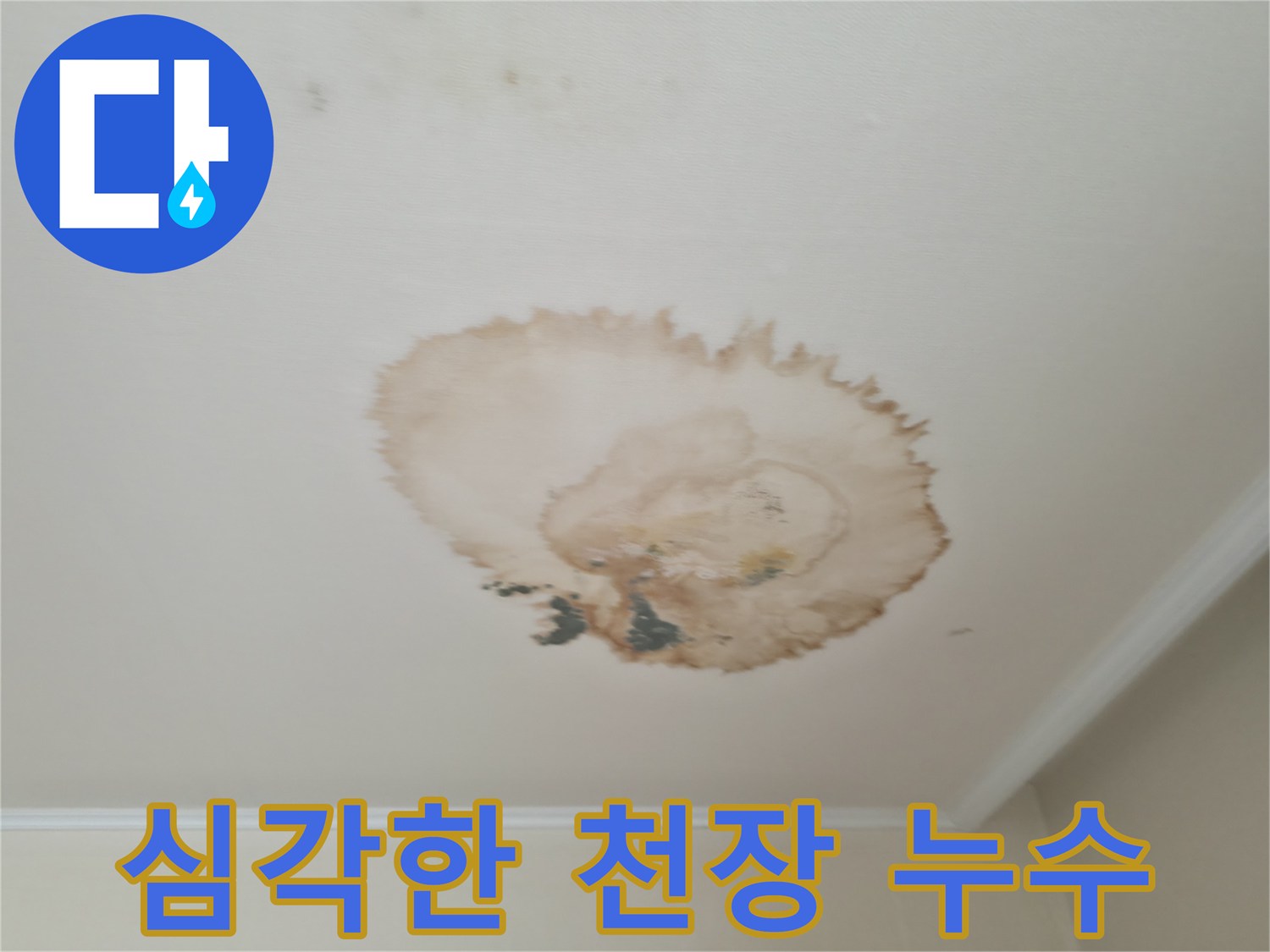 심각한 천장 누수 - 방치하면 큰 문제 - 서대문구 누수 전문가