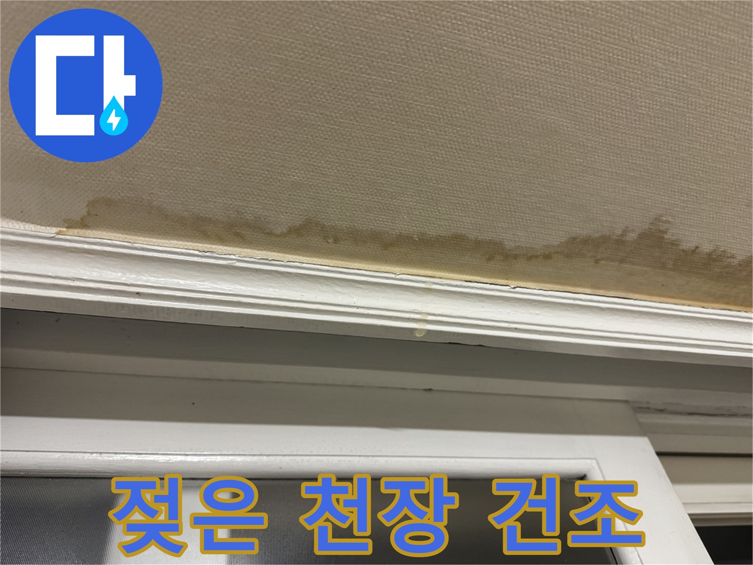젖은 천장의 모습 - 습하고 젖은 천장을 완벽하게 건조해 드립니다.