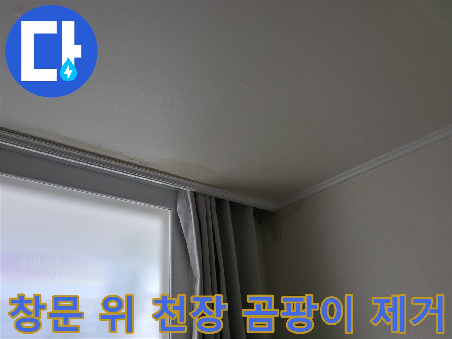 창문 위 천장 곰팡이 - 곰팡이 제거 및 방지 시공