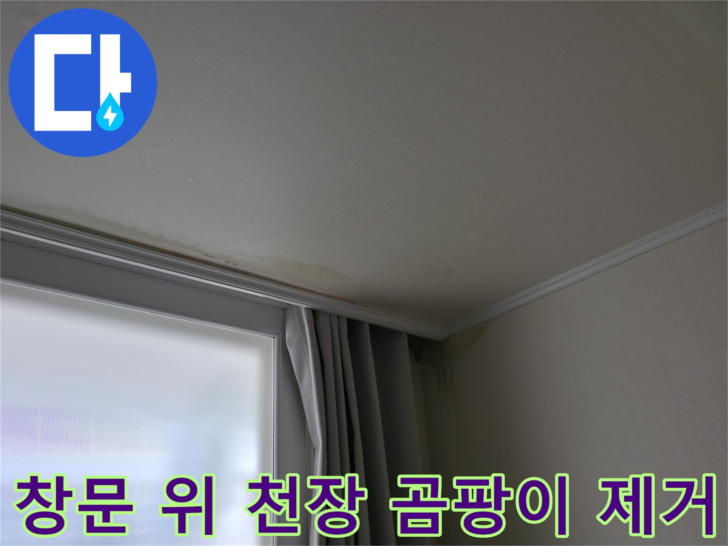 창문 위 천장 곰팡이 - 곰팡이 제거 및 재발 방지 시공