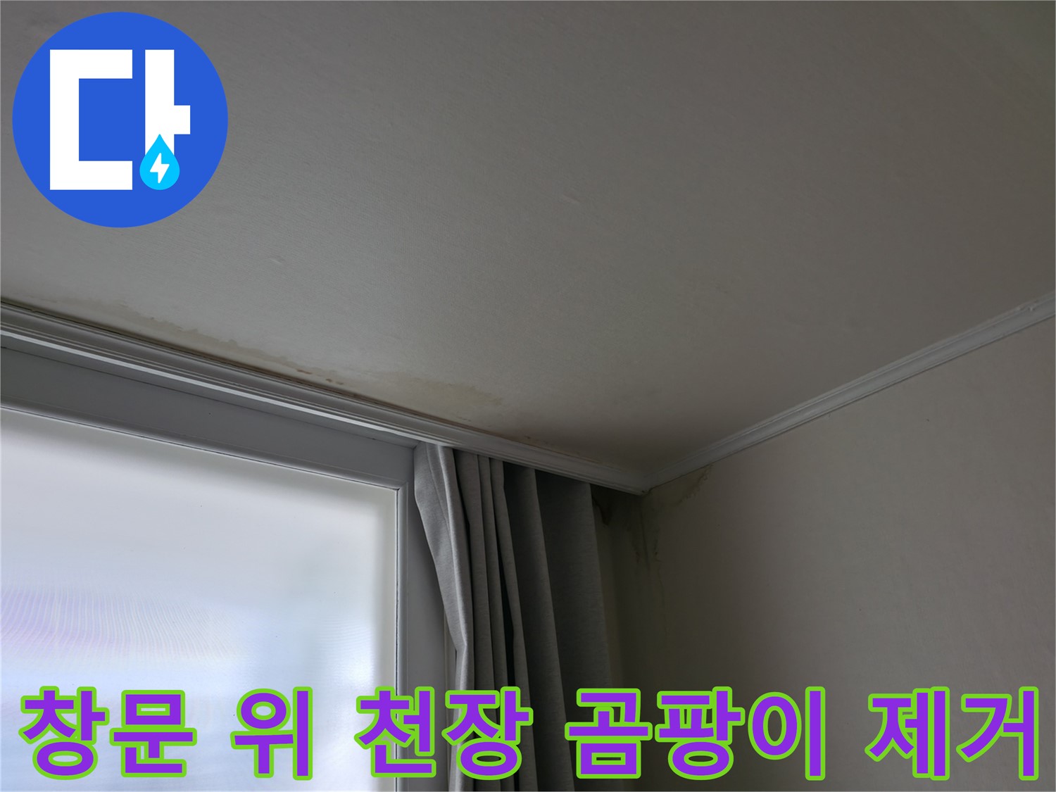 창문 위 천장 곰팡이 - 곰팡이 제거 및 재발 방지 시공