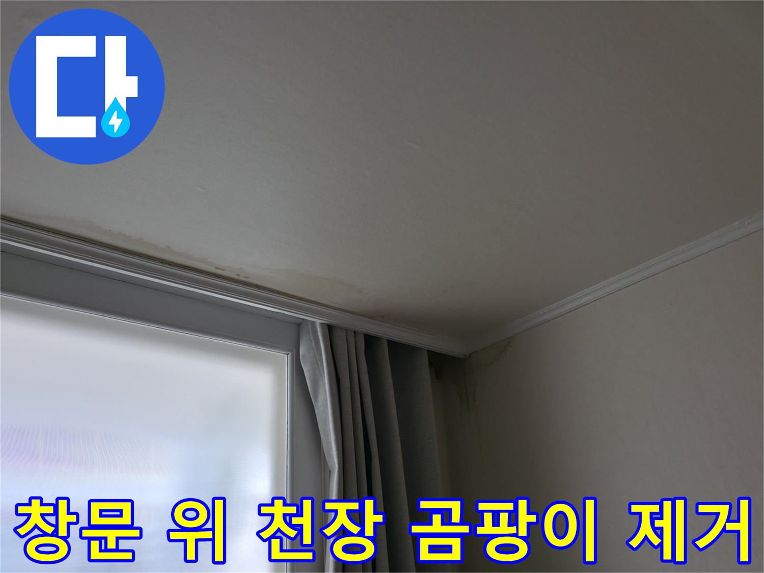 창문 위 천장 곰팡이 - 곰팡이 제거 및 재발 방지 시공