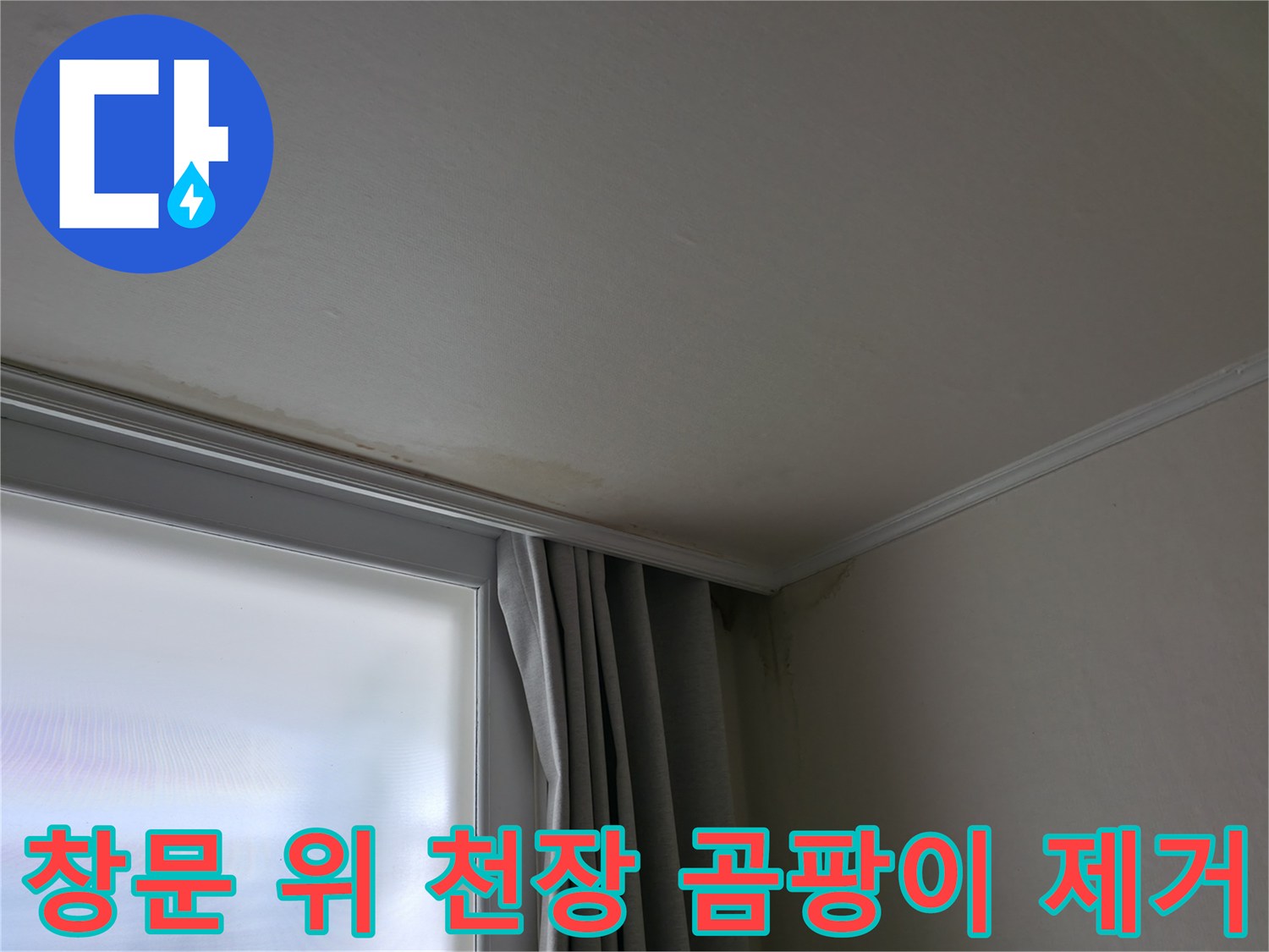 창문 위 천장 곰팡이 - 누수 해결 및 곰팡이 제거 전문