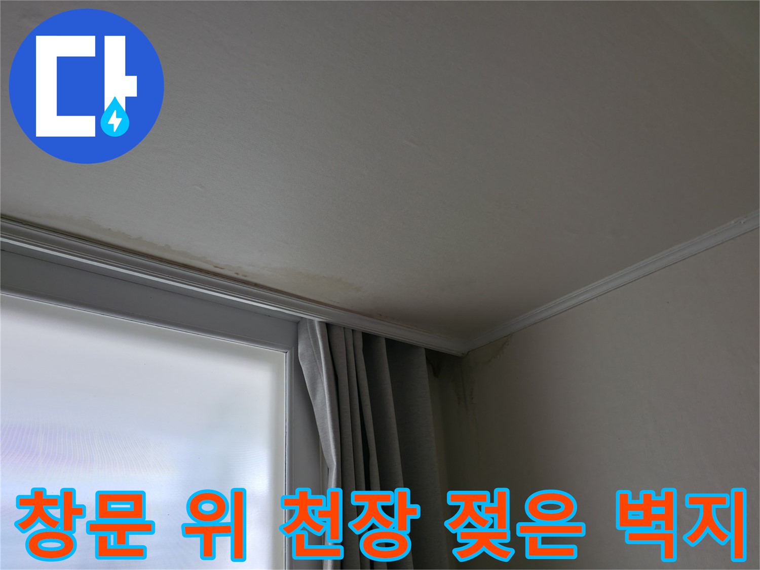 창문 위 천장 - 젖은 벽지 누수 해결 전문 업체