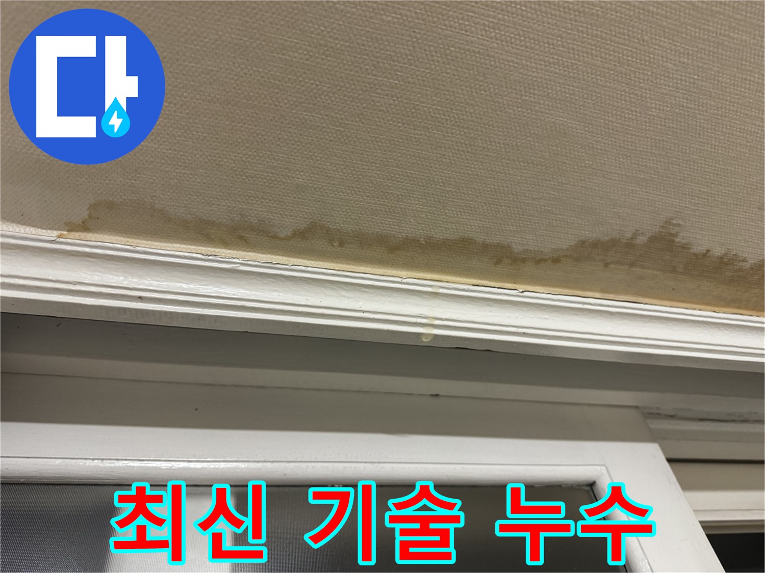최신 장비를 이용한 누수 탐지 - 숨어있는 누수까지 정확하게 찾아냅니다.