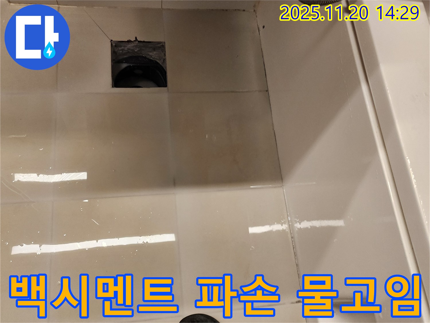 포천 가산 욕실 배수구 누수 - 백시멘트 파손 및 물고임 상태 점검
