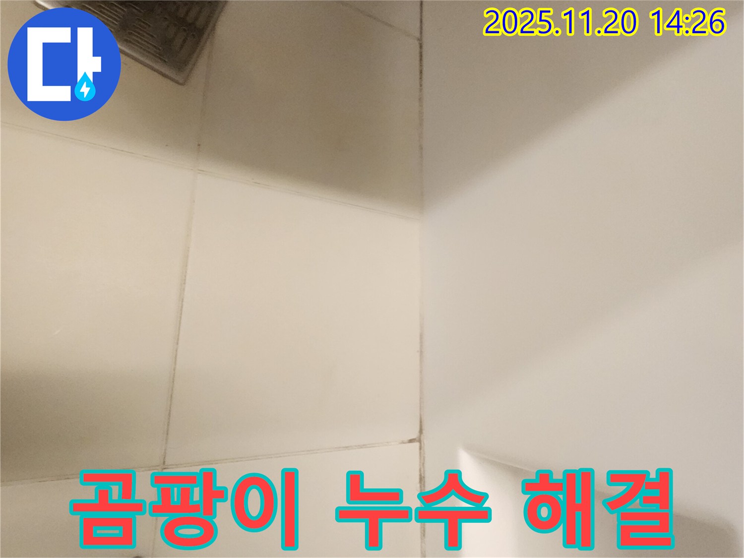 포천 가산면 욕실 - 곰팡이와 누수, 고민 해결! 속 시원한 해결!
