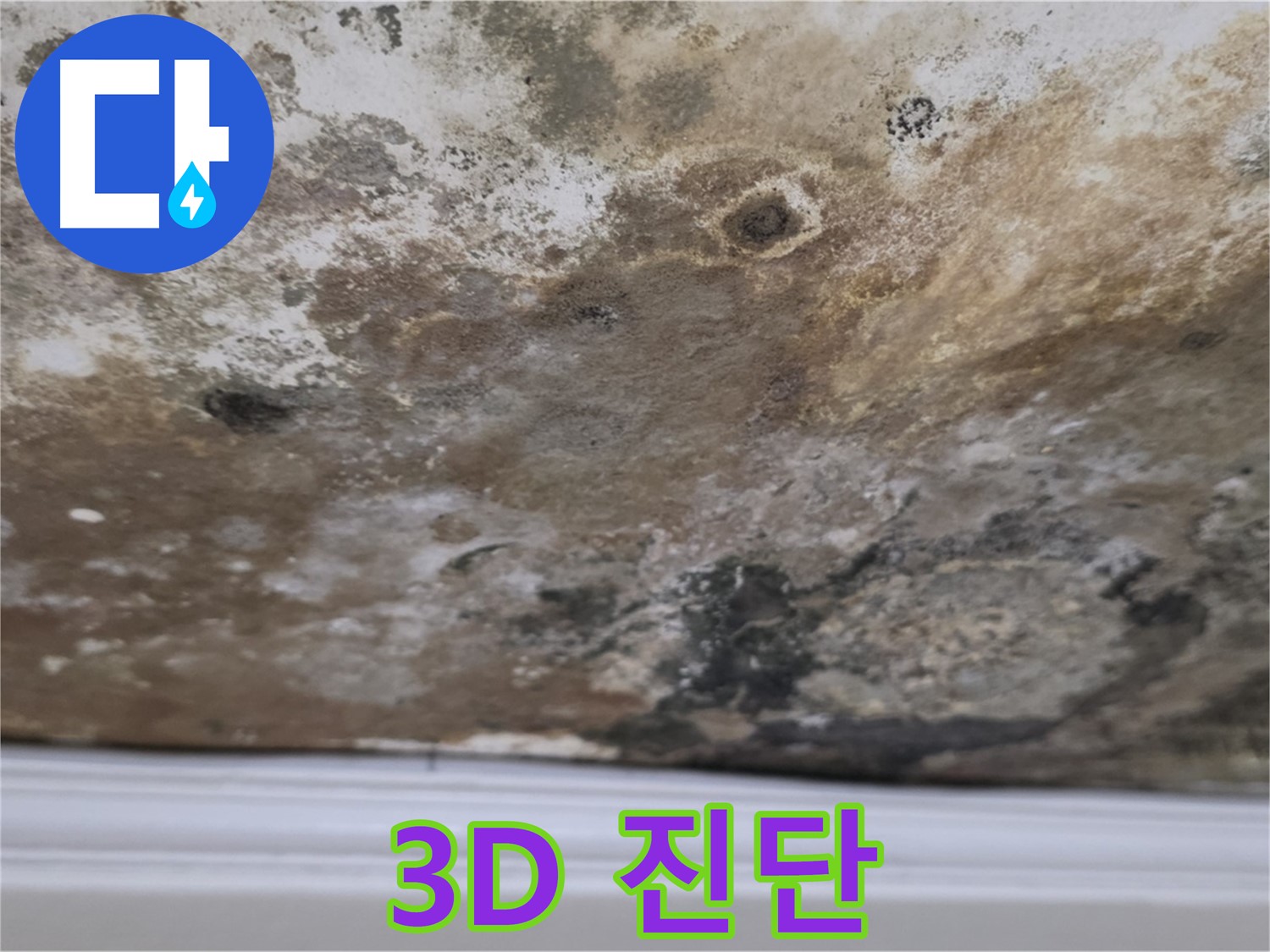 3D 정밀 누수 진단 - 3D 정밀 진단 장비를 이용하여 누수 지점을 찾는 상세 모습입니다.