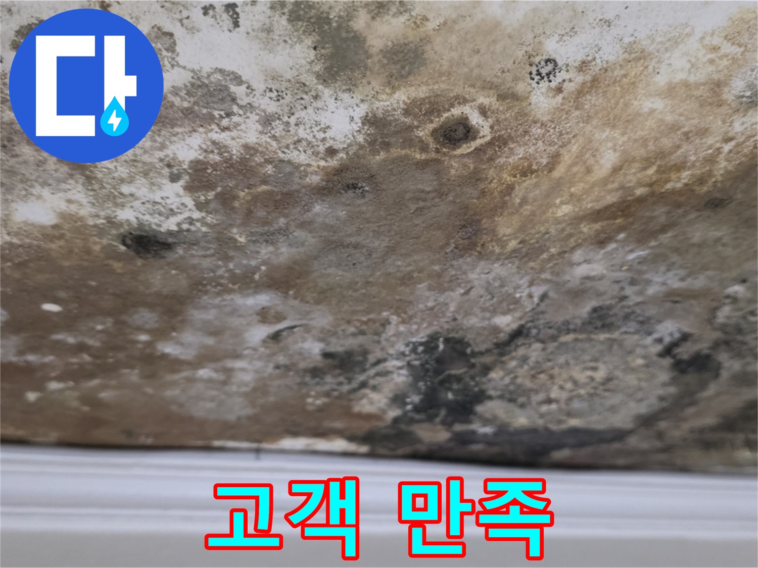 고객 만족 후기 - 고객님들의 만족스러운 후기를 보여주는 이미지입니다.
