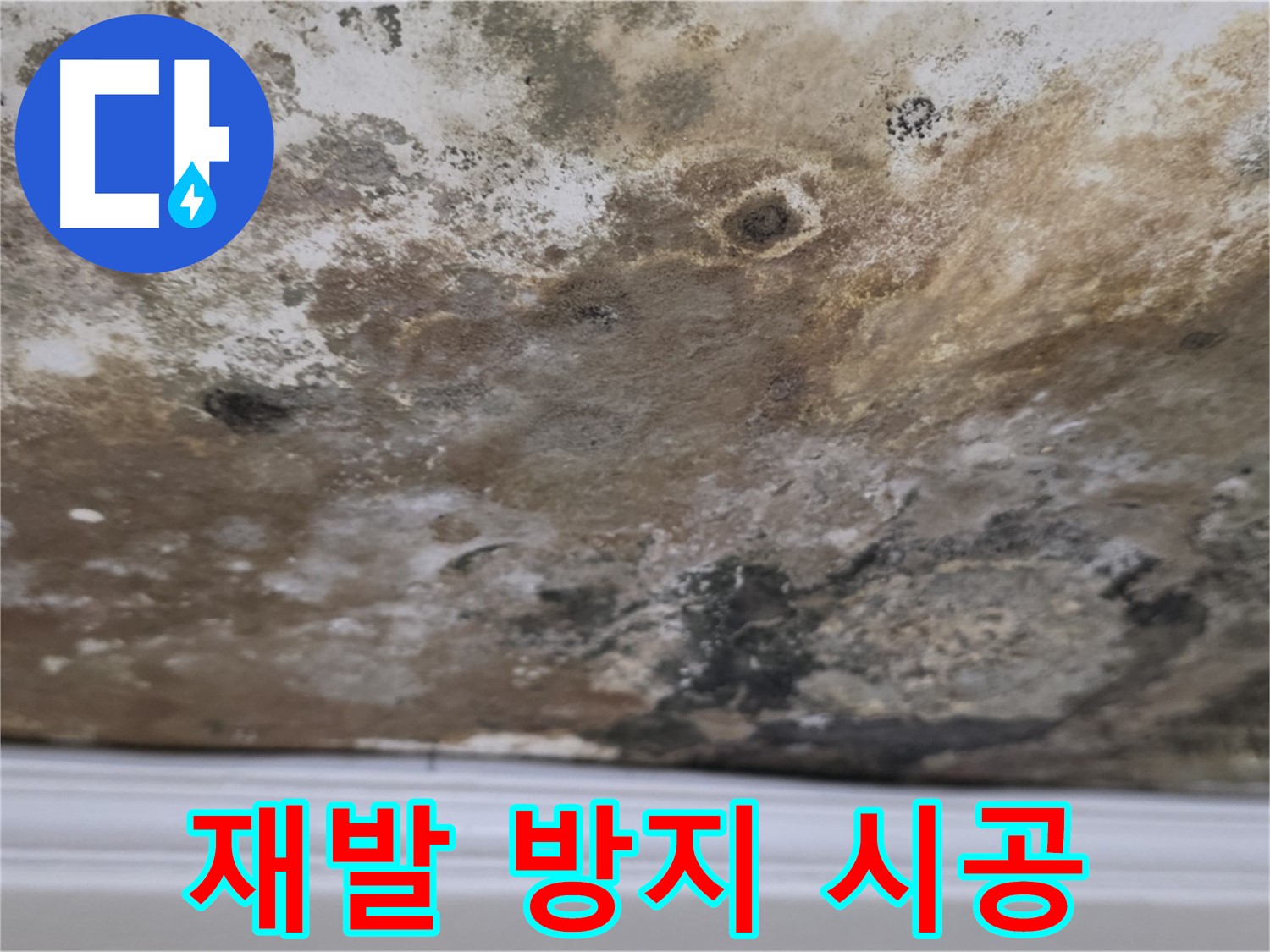 곰팡이 재발 방지 시공 - 곰팡이 제거 후 재발 방지를 위한 꼼꼼한 시공 모습입니다.