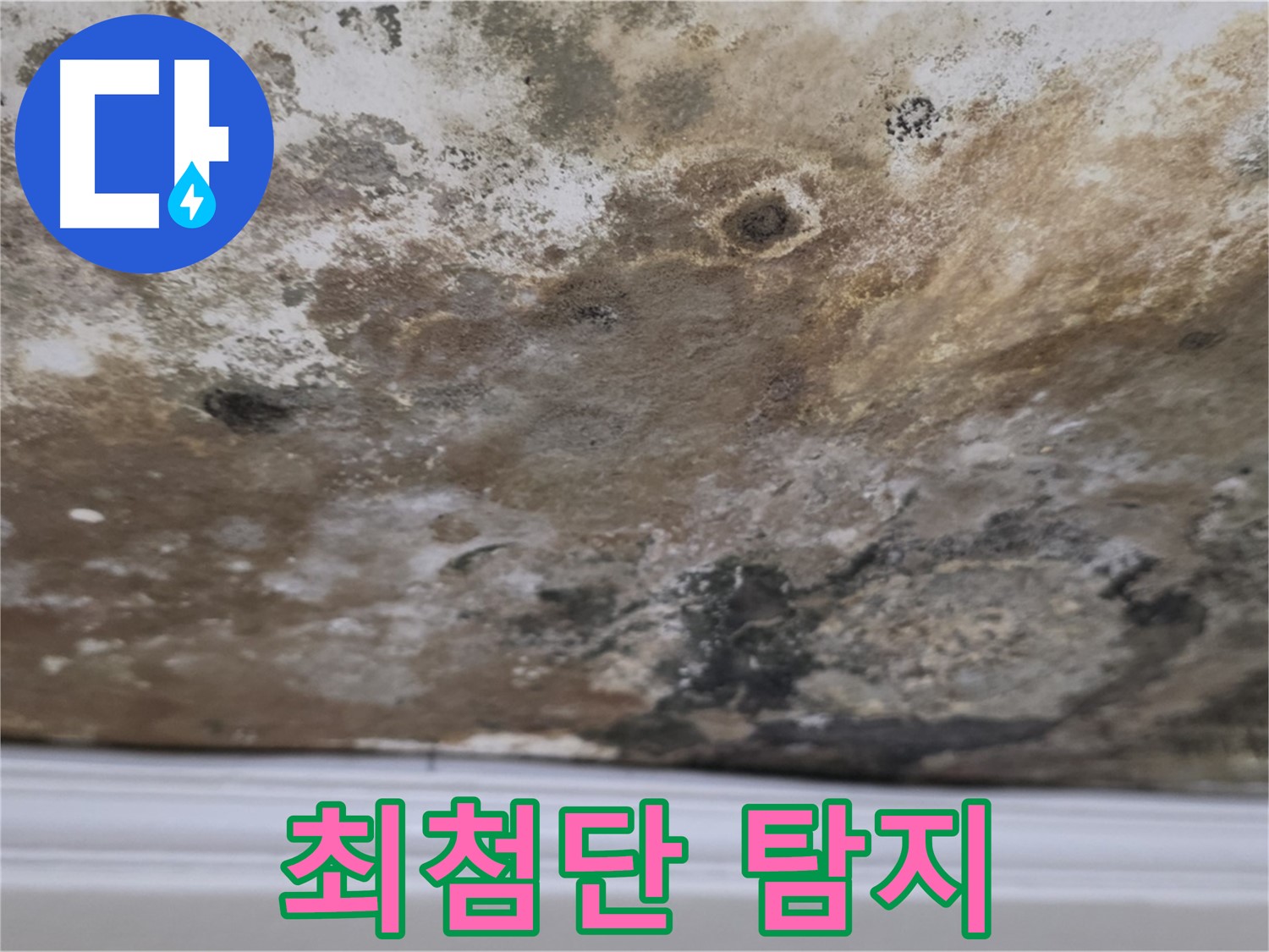 곰팡이 천장 - 최첨단 누수 탐지 장비로 정밀하게 진단합니다