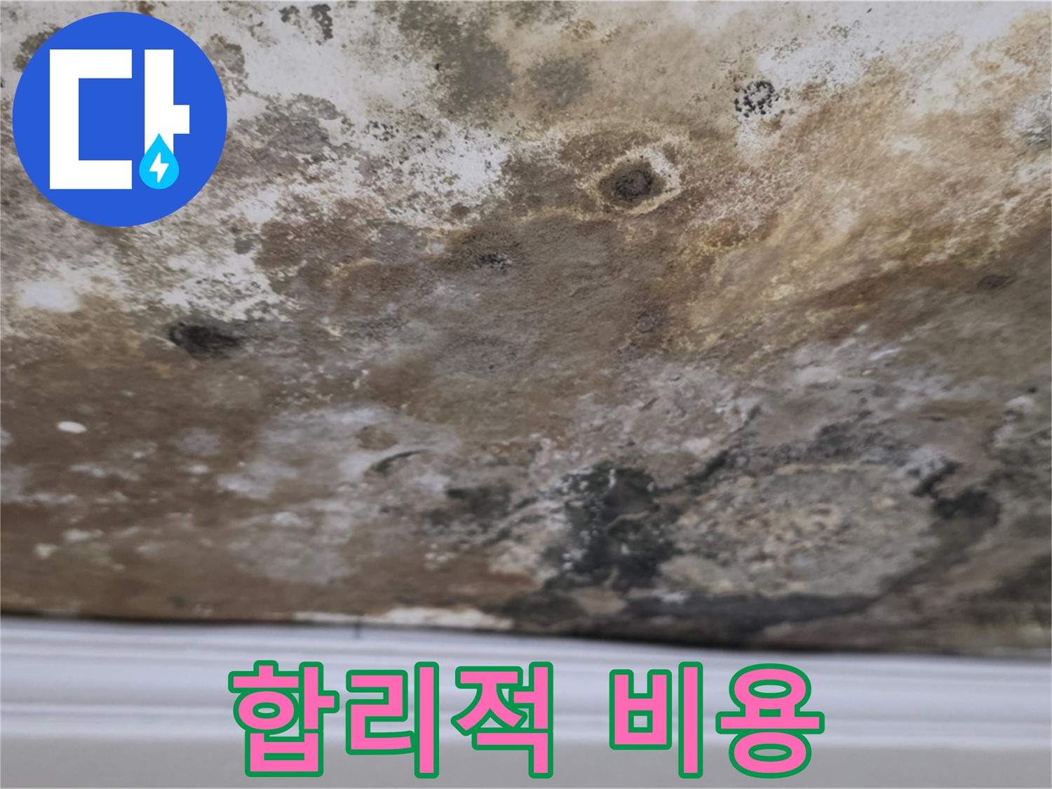 곰팡이 천장 - 합리적인 비용으로 누수 해결 가능