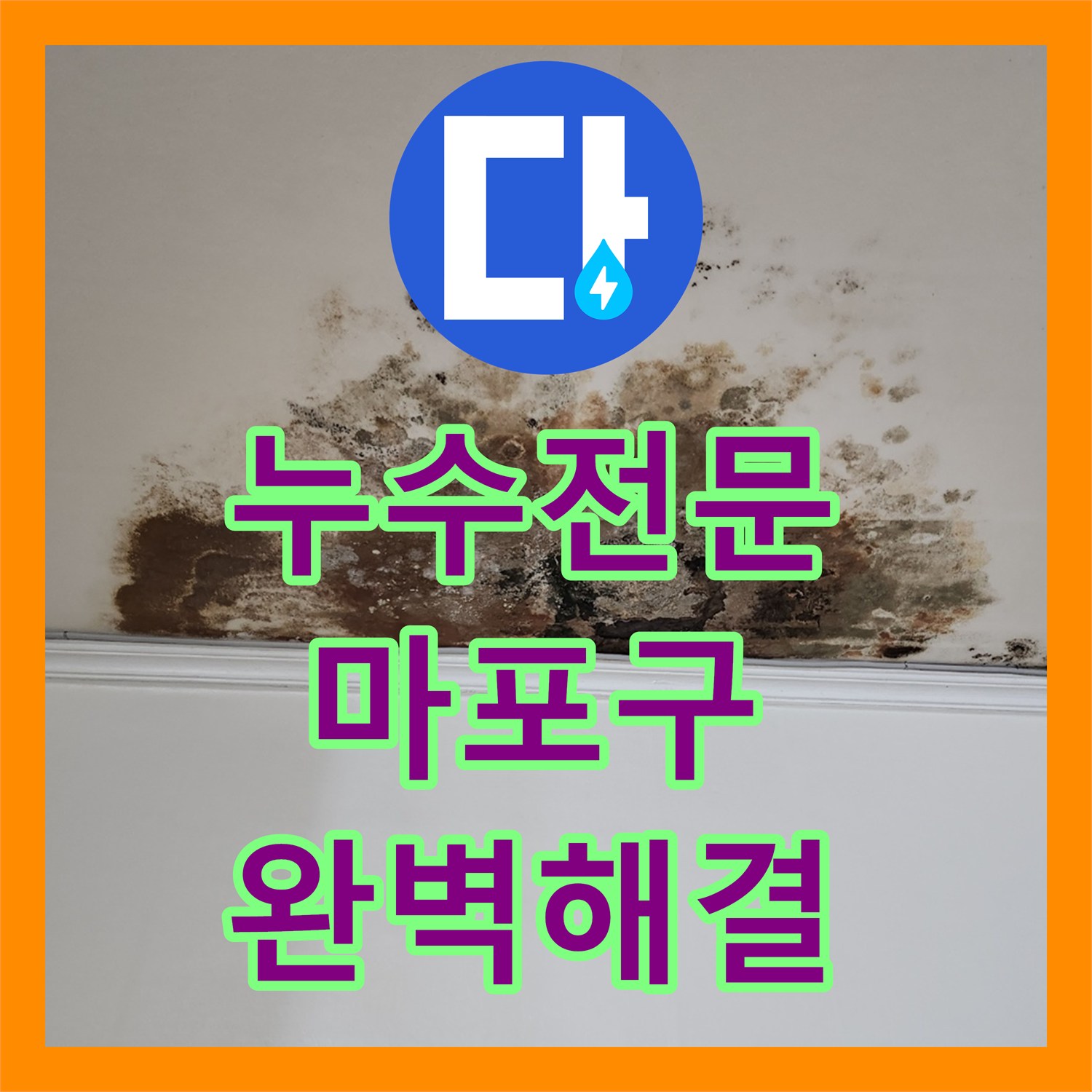 누수전문, 오랫동안 해결되지 않던 미세 누수 원인을 찾아내어 공사 진행 서울 마포구