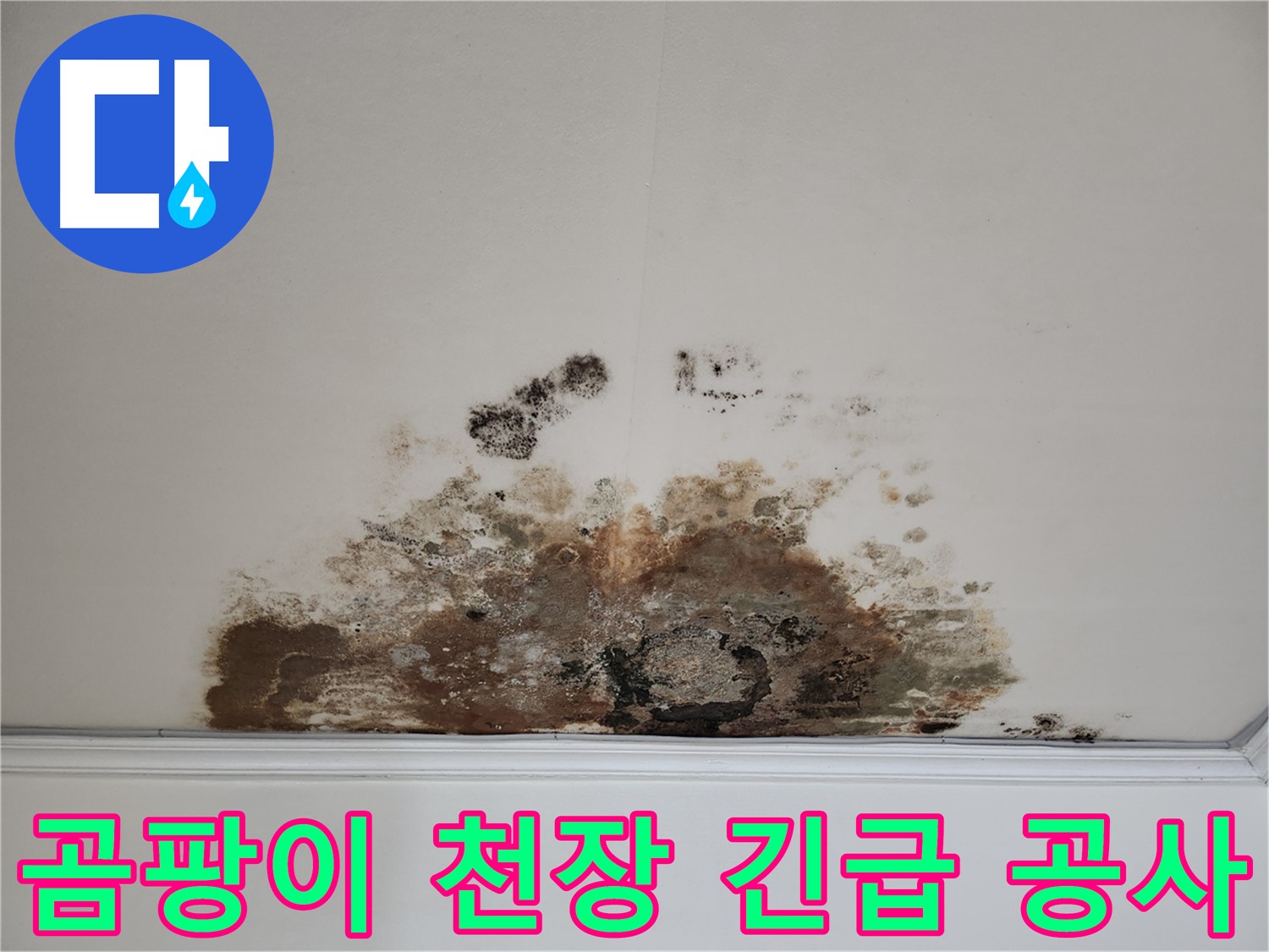 마포구 누수 긴급 - 곰팡이 천장 신속 진단 완벽 공사