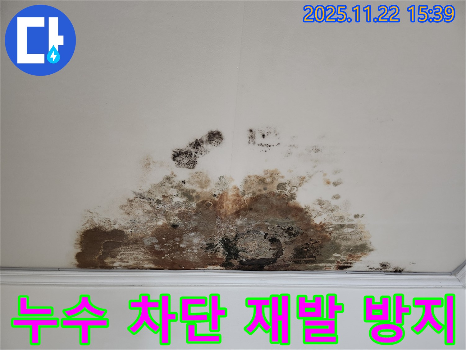 마포구 새창로 아파트 - 곰팡이 천장, 완벽한 누수 차단으로 곰팡이 재발 방지