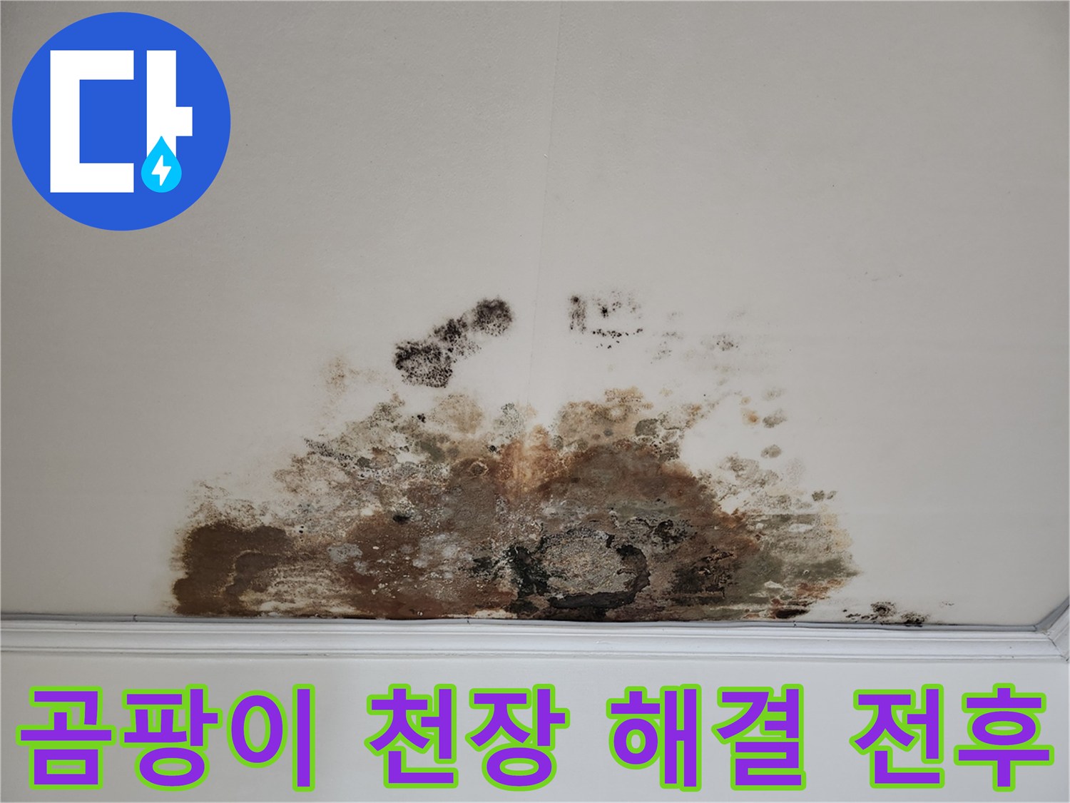 마포구 아파트 누수 - 곰팡이 천장 해결 과정 Before & After
