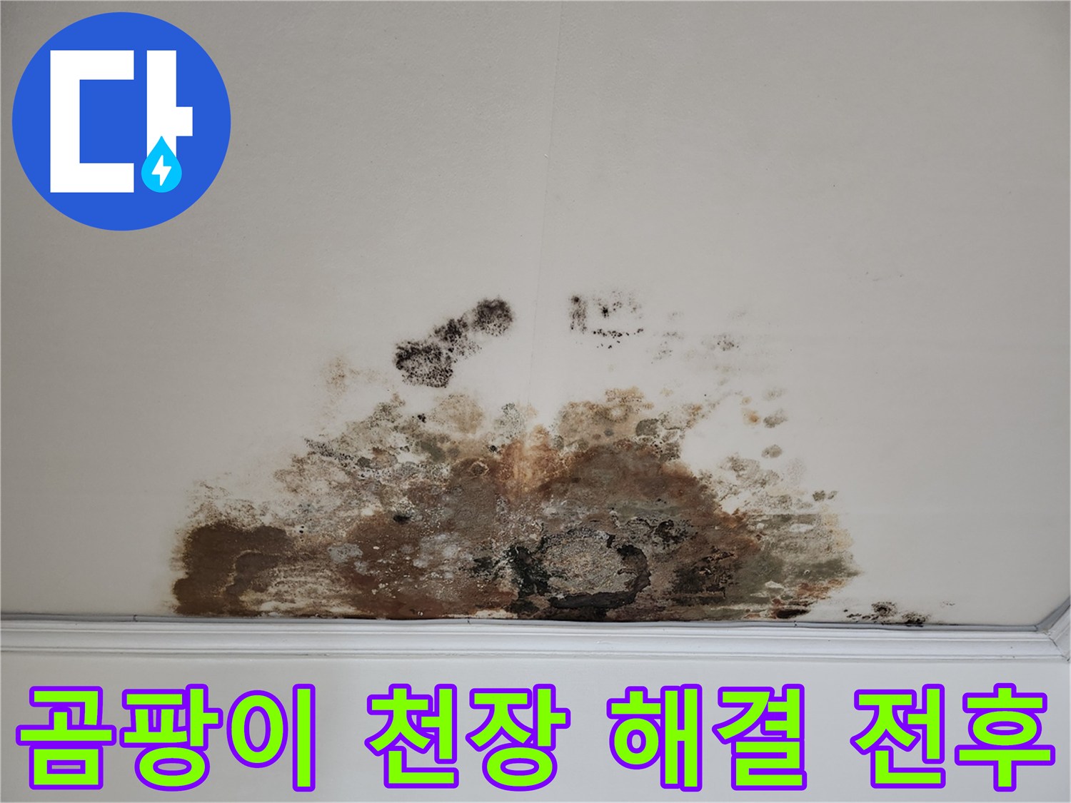 마포구 아파트 누수 - 곰팡이 천장 해결 과정 Before & After