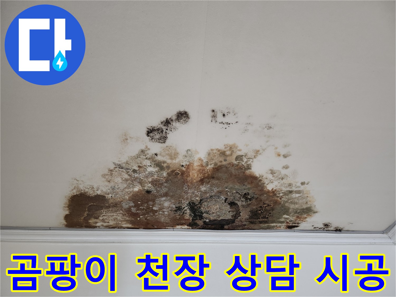 마포구 용강동 누수 곰팡이 천장 - 친절 상담 완벽 시공 보장