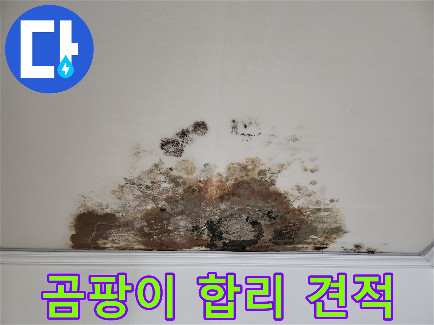 마포구 용강동 누수 - 곰팡이 천장, 합리적 견적 및 완벽 해결