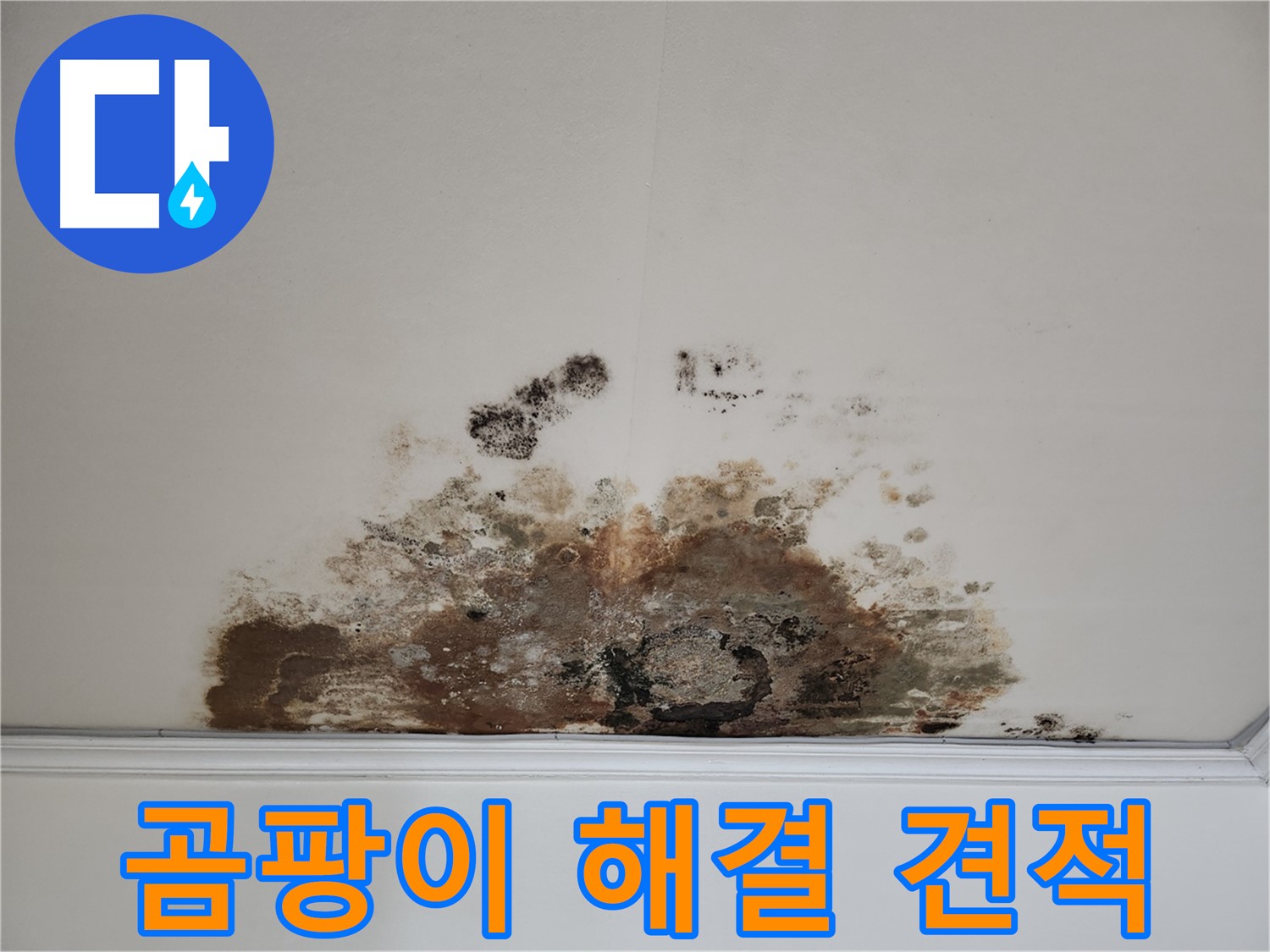 마포구 용강동 누수 - 곰팡이 천장 합리적 견적 및 완벽 해결 약속