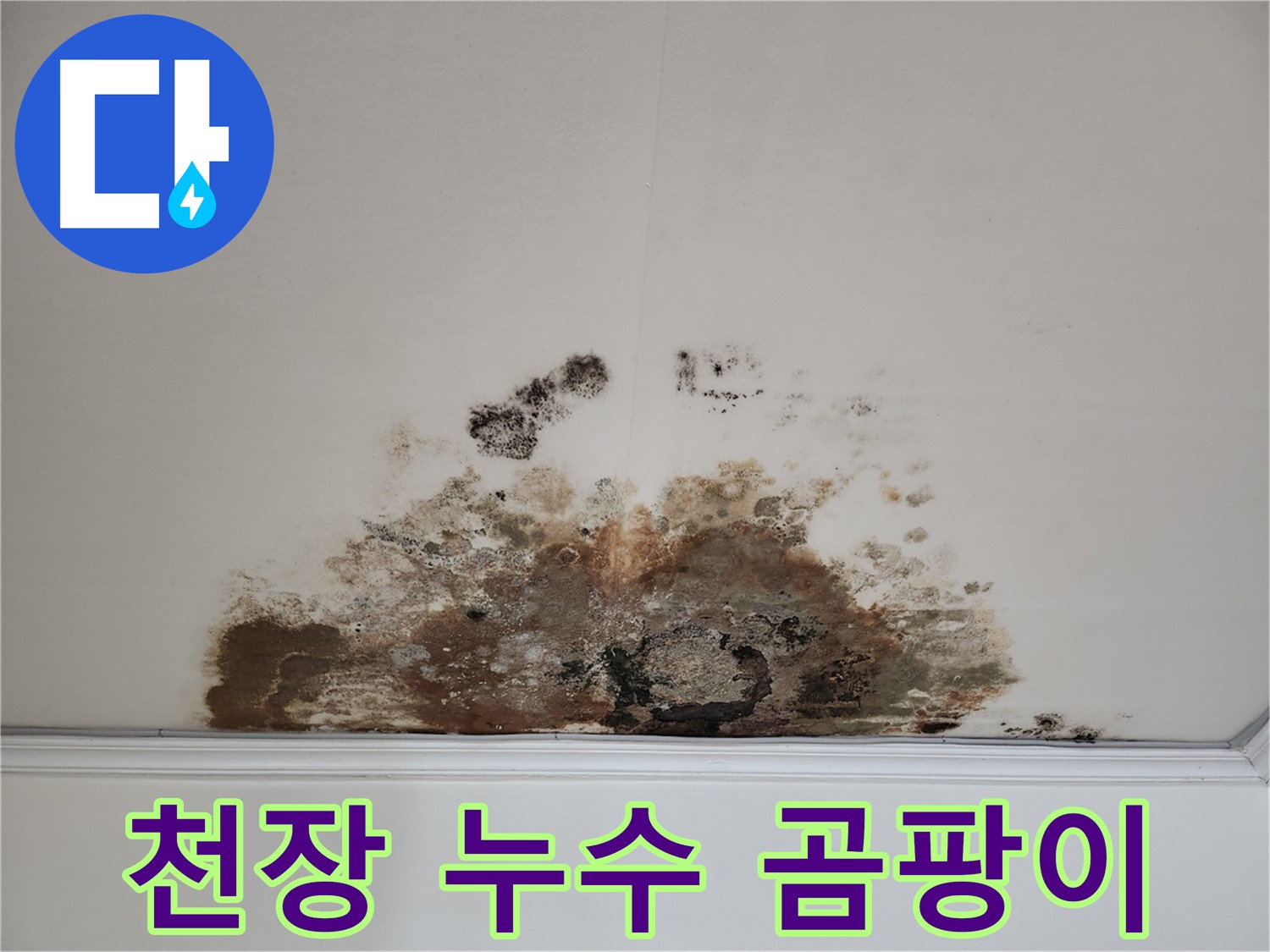 마포구 용강동 누수 - 곰팡이 핀 천장 완벽 해결