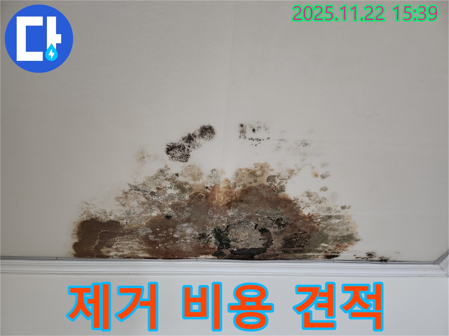 마포구 용강동 아파트 - 곰팡이 천장, 곰팡이 제거 비용, 합리적인 견적 제공