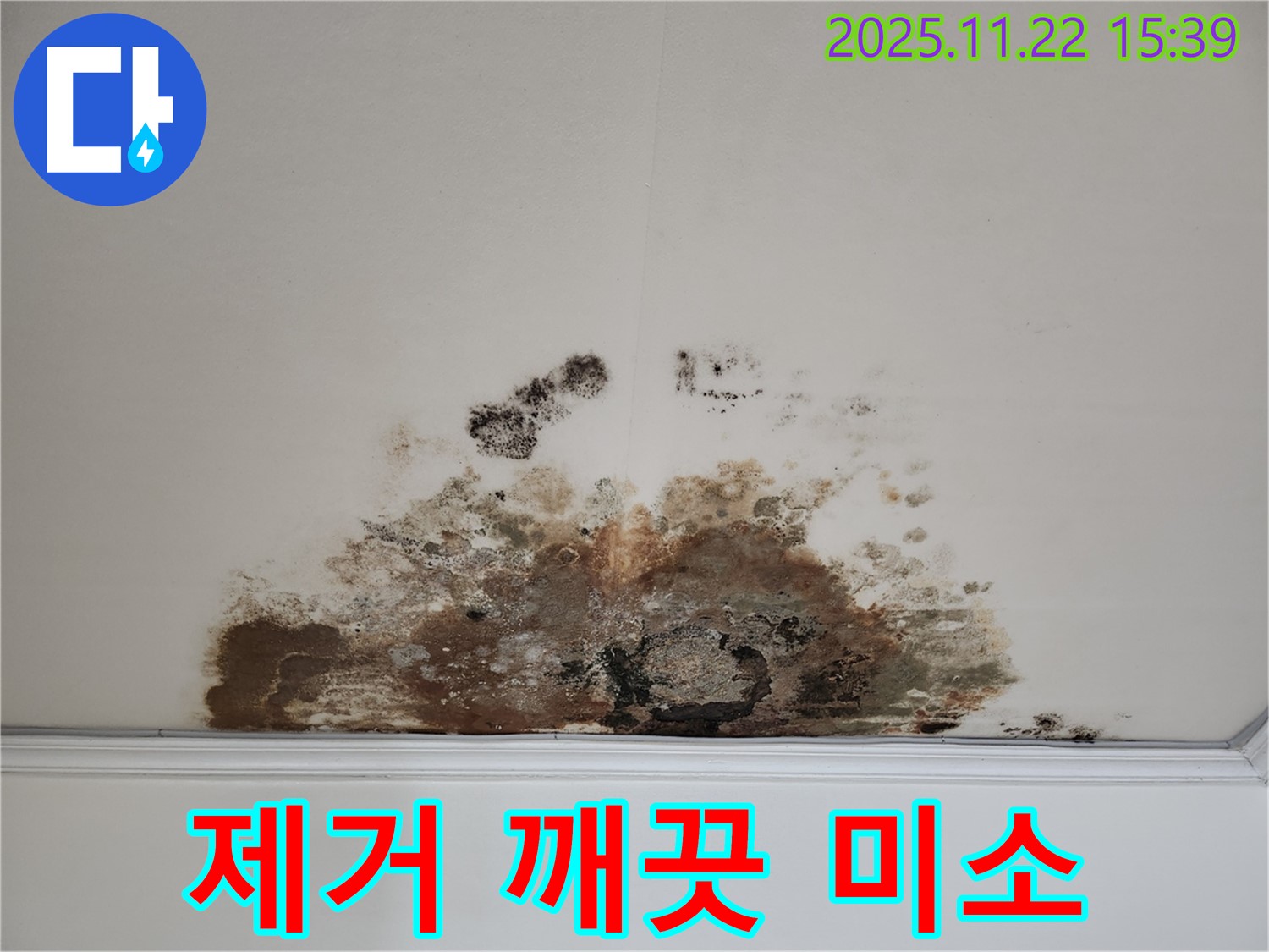 마포구 용강동 아파트 - 곰팡이 천장, 곰팡이 제거로 깨끗한 집에서 행복한 미소를