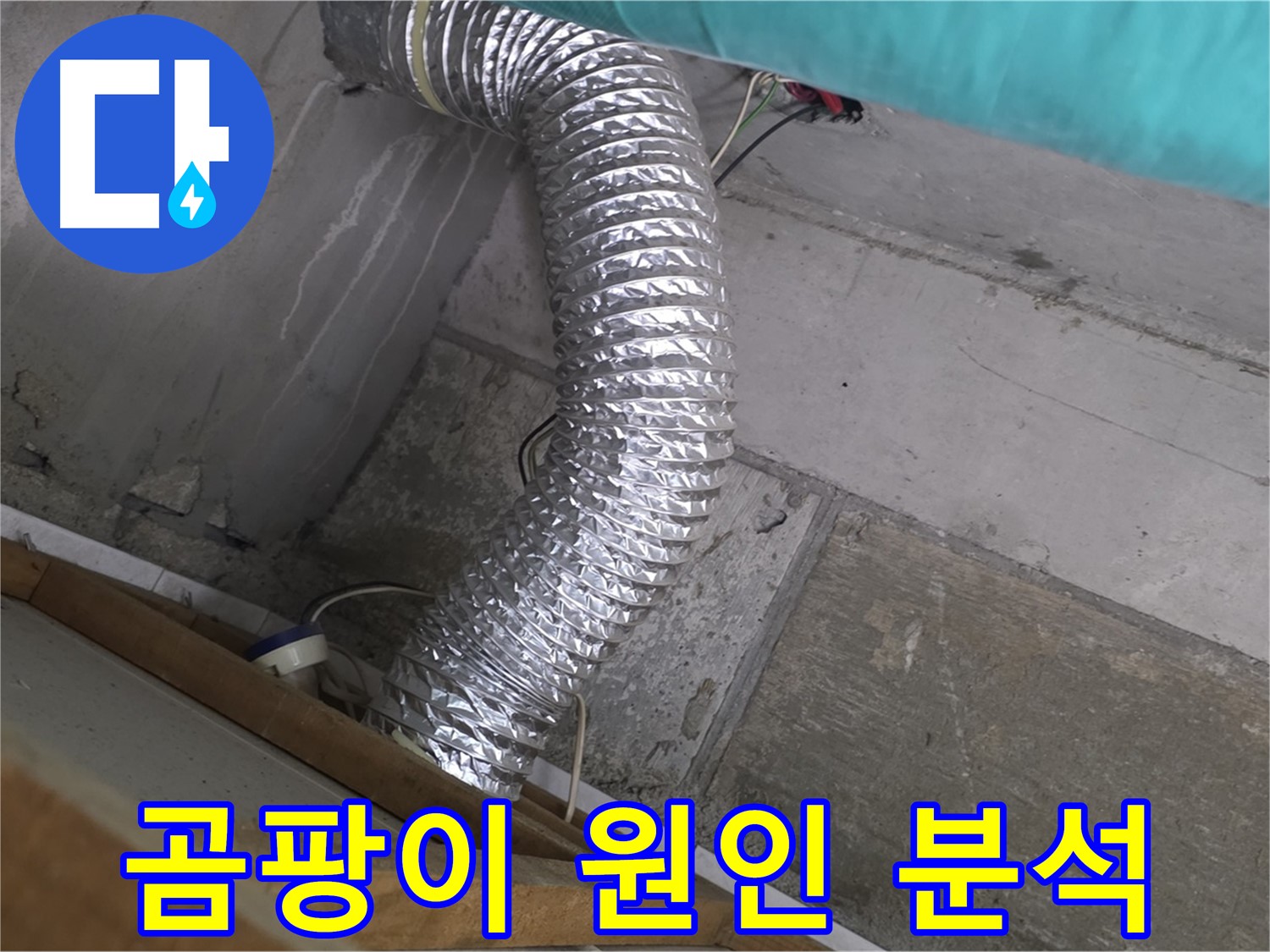 마포구 용강동 현대홈타운 누수 점검 - 환풍기 배관 연결 부위 주변 벽면 곰팡이 발생 원인 분석