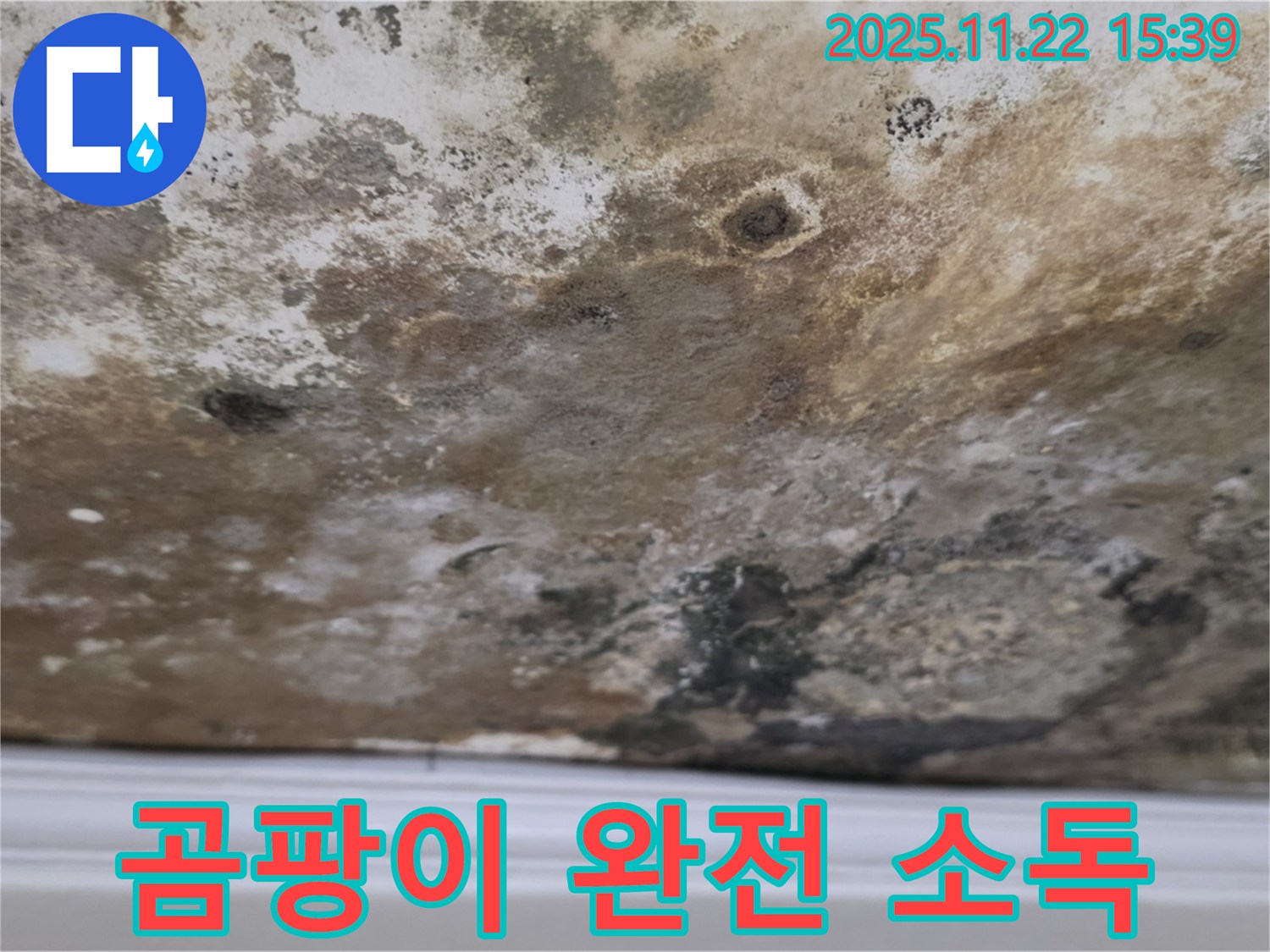 새창로8길 누수 - 곰팡이 대재앙, 천장 완전 소독 프로젝트 시작!