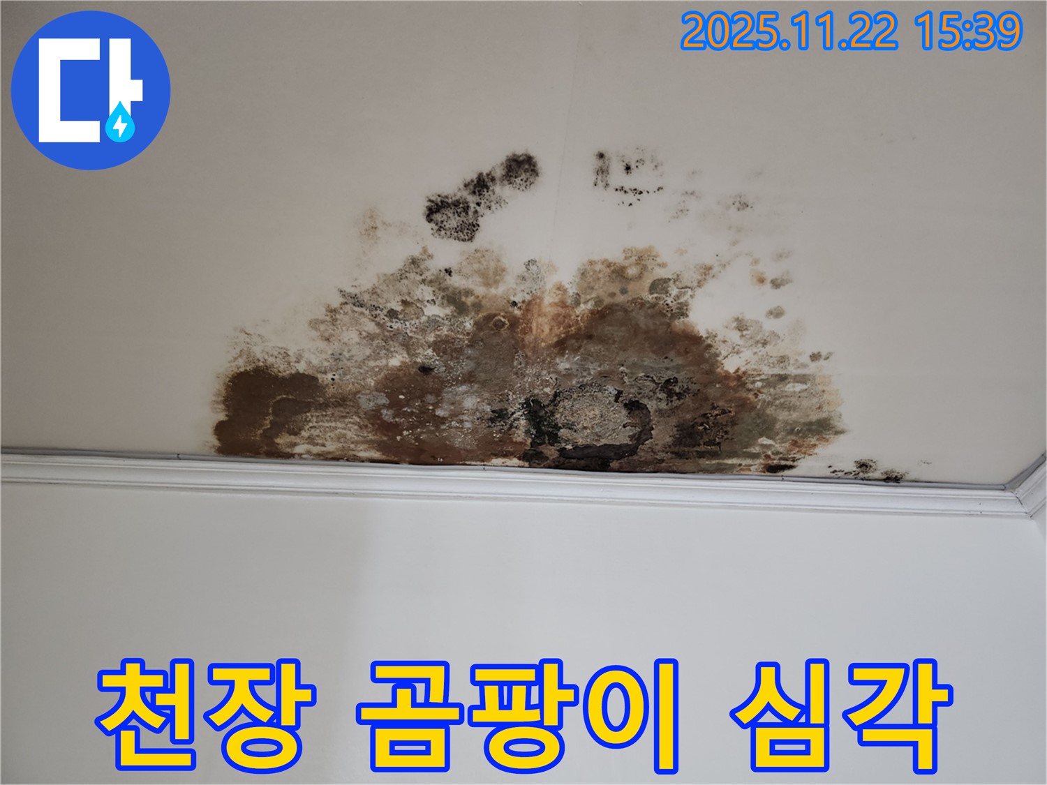 새창로8길 천장 누수로 인한 심한 곰팡이 - 확실한 해결 보장