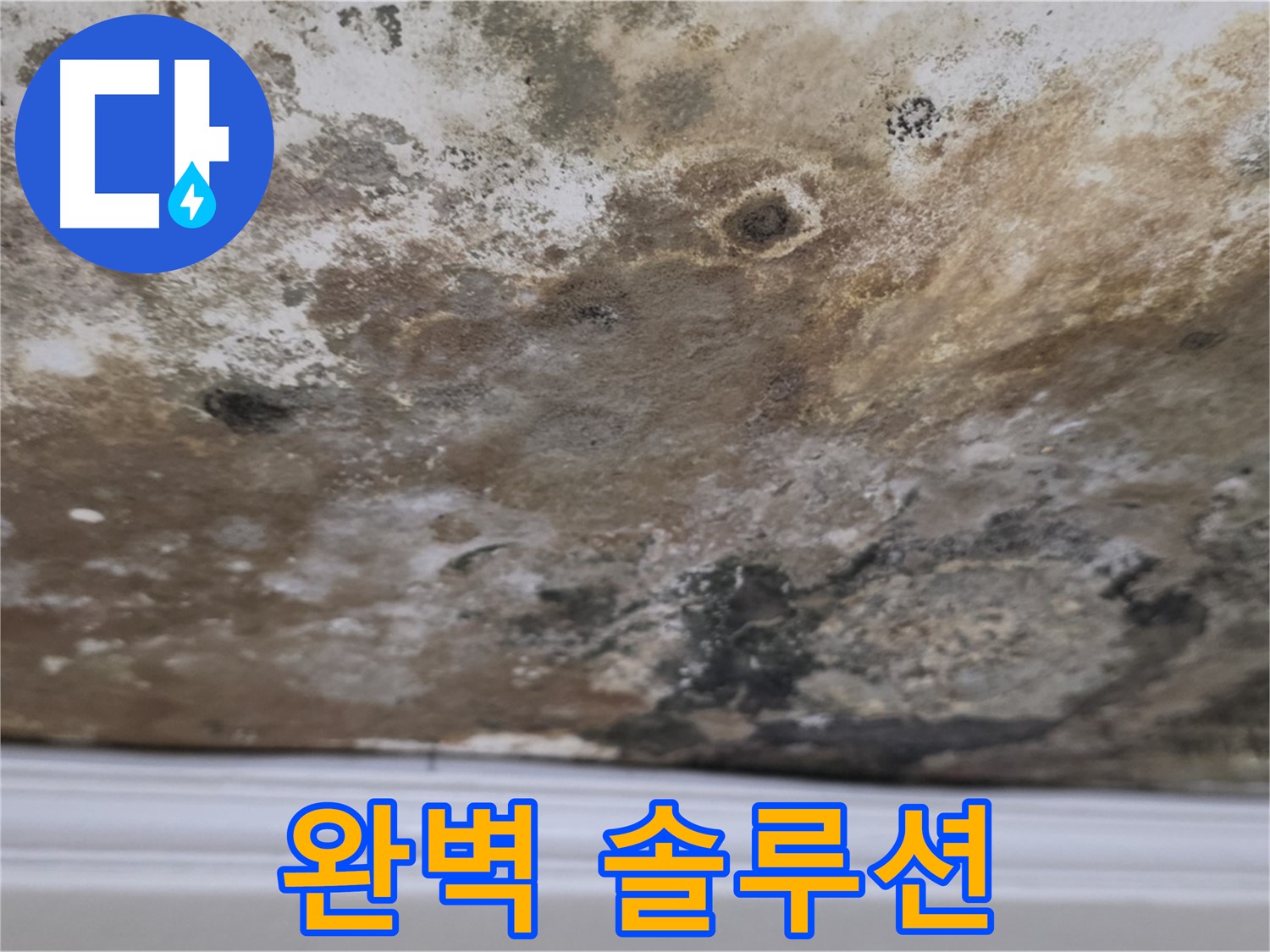 완벽한 누수 해결 솔루션 - 고객 맞춤형 솔루션 제공