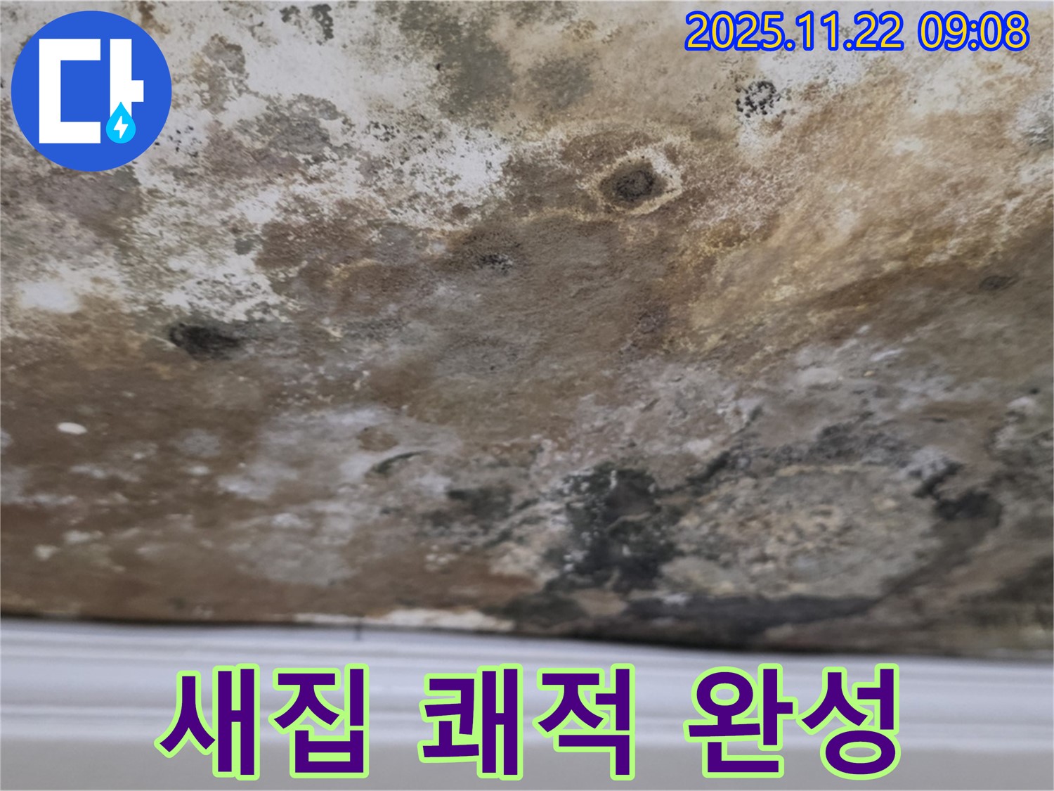 용강동 누수 - 곰팡이 천장, 새집처럼 변신, 쾌적한 공간 완성