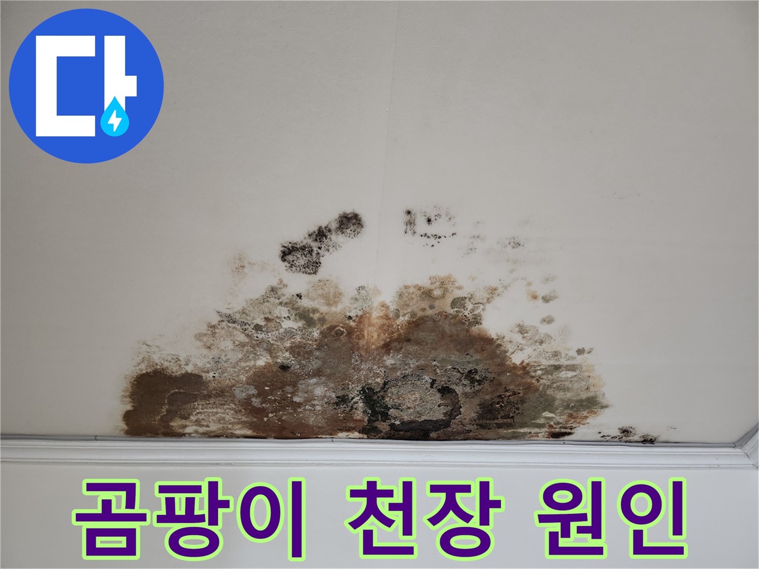용강동 누수 전문가 - 곰팡이 천장 원인부터 확실하게 해결