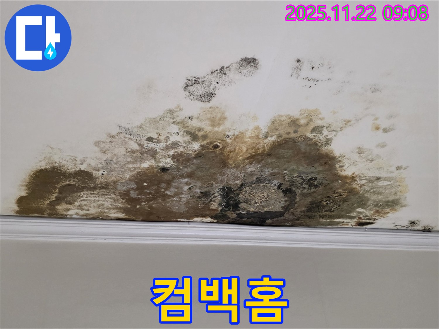 용강동 아파트 누수 - 곰팡이와의 숨바꼭질 이제 그만! 쾌적한 보금자리로 컴백홈