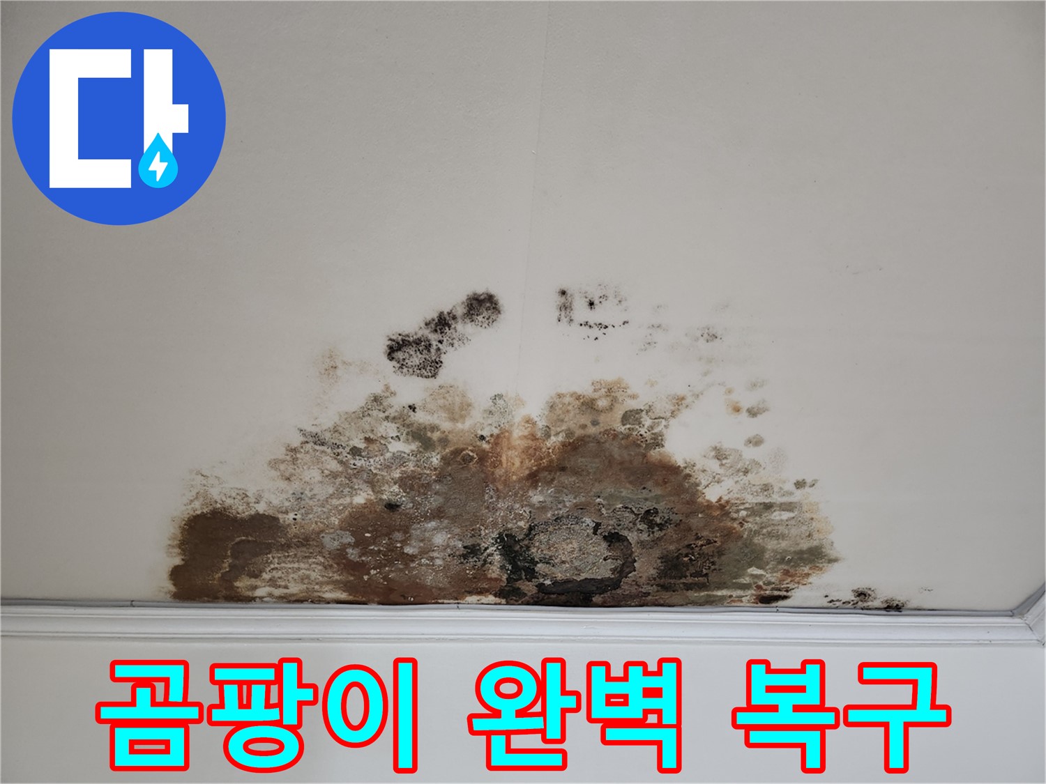 용강동 아파트 누수 해결 - 곰팡이 천장 완벽 복구 및 고객 만족