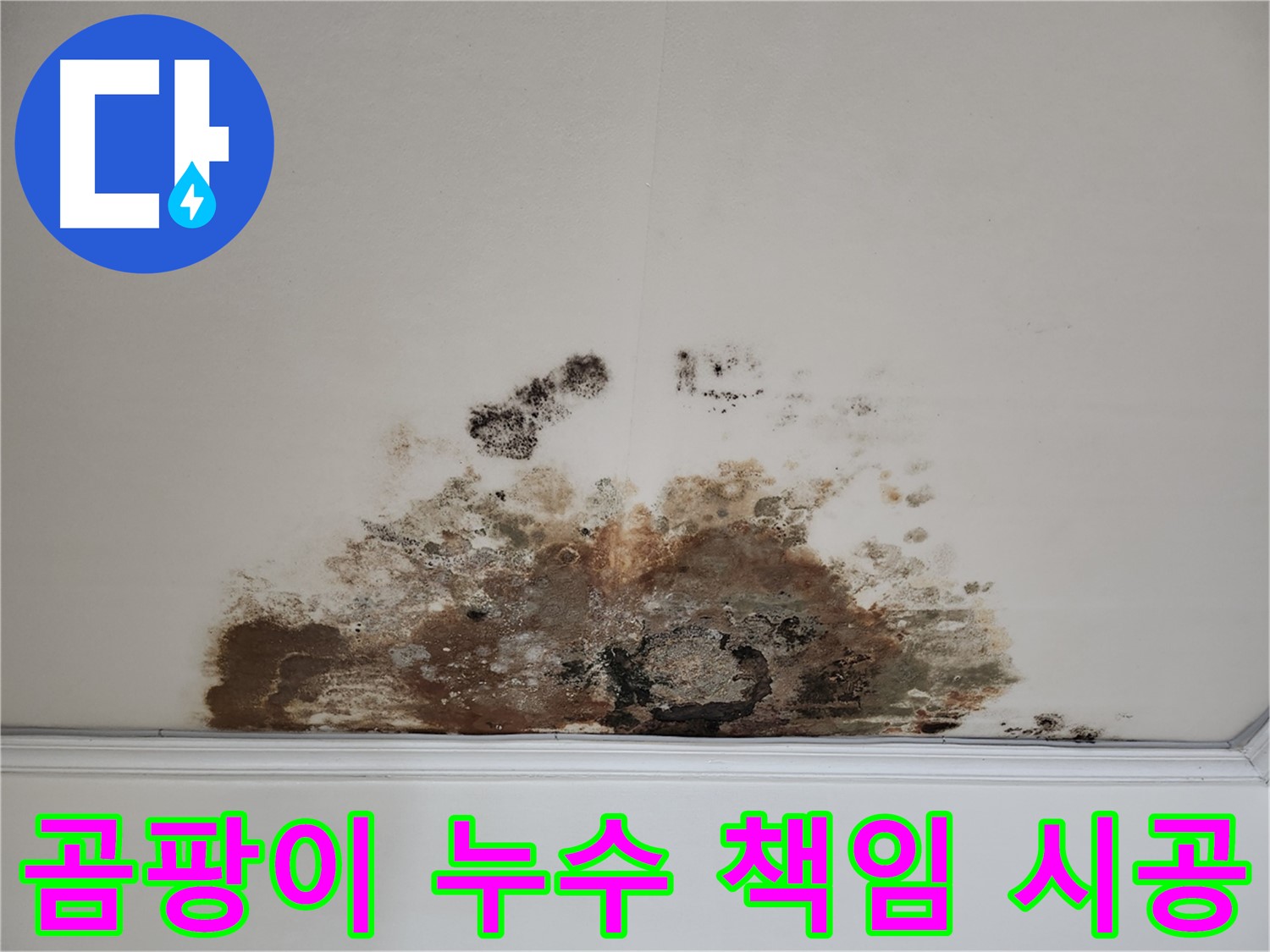 용강동 천장 곰팡이 누수 - 100% 책임 시공, 재발 걱정 NO
