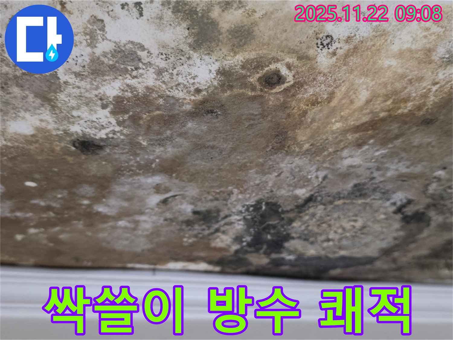 용강동 현대홈타운 - 곰팡이 싹쓸이, 완벽 방수, 쾌적한 공간 완성!